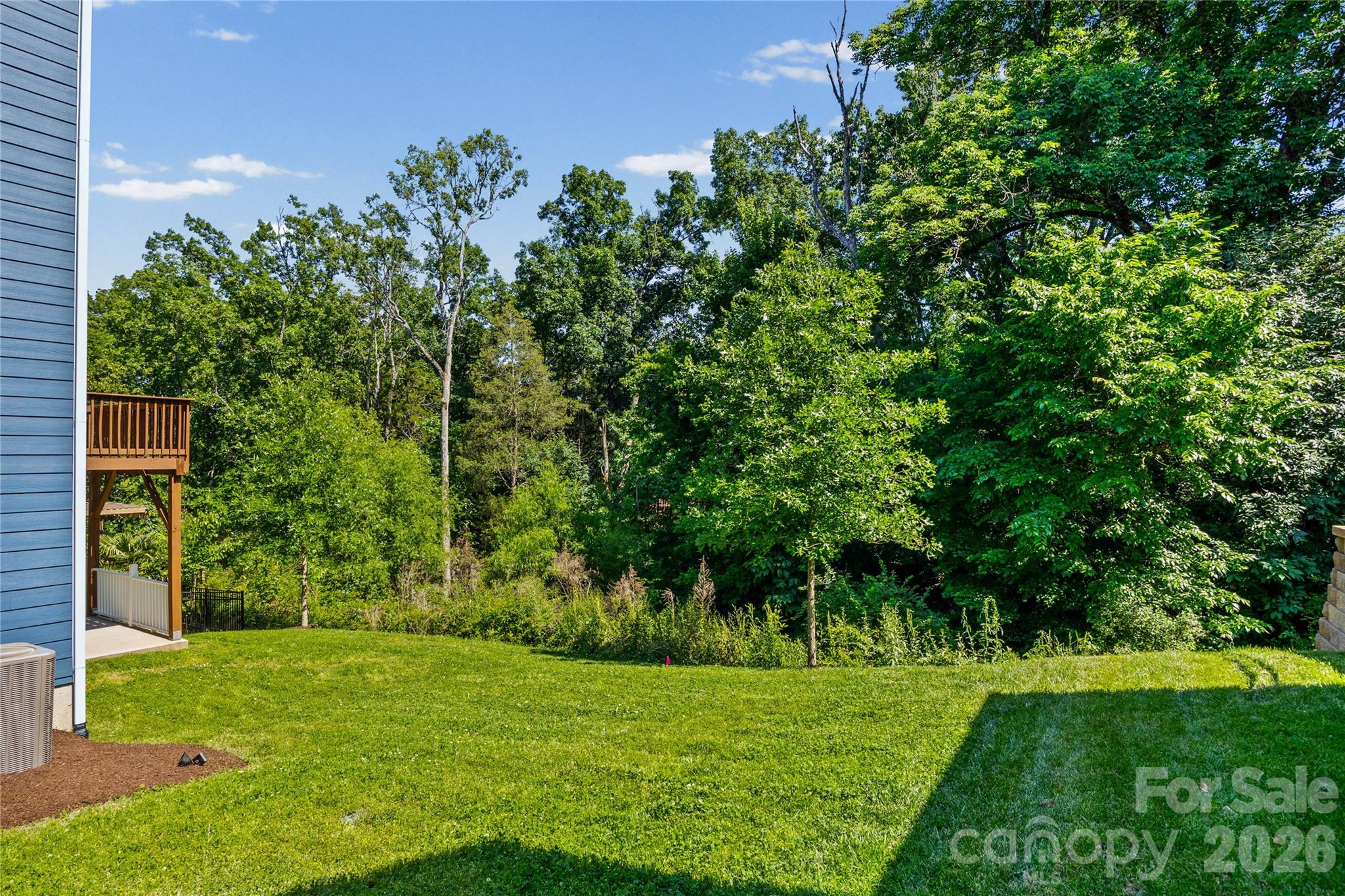1008 Dorsey Drive — Fort Mill