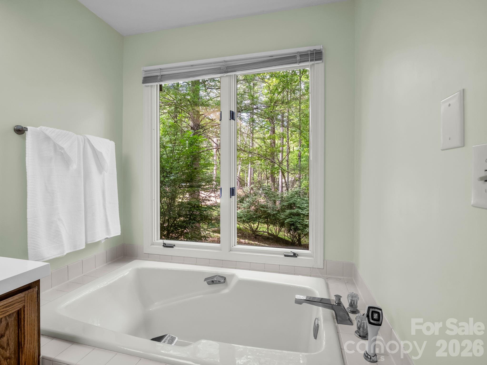 118 Timber Creek Road — Hendersonville