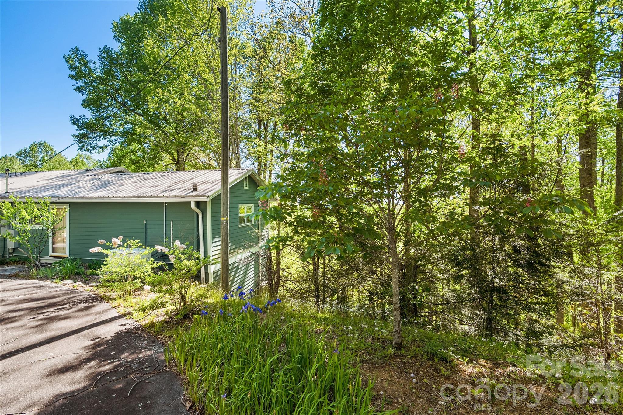 479 Old Dummy Line Road — Balsam