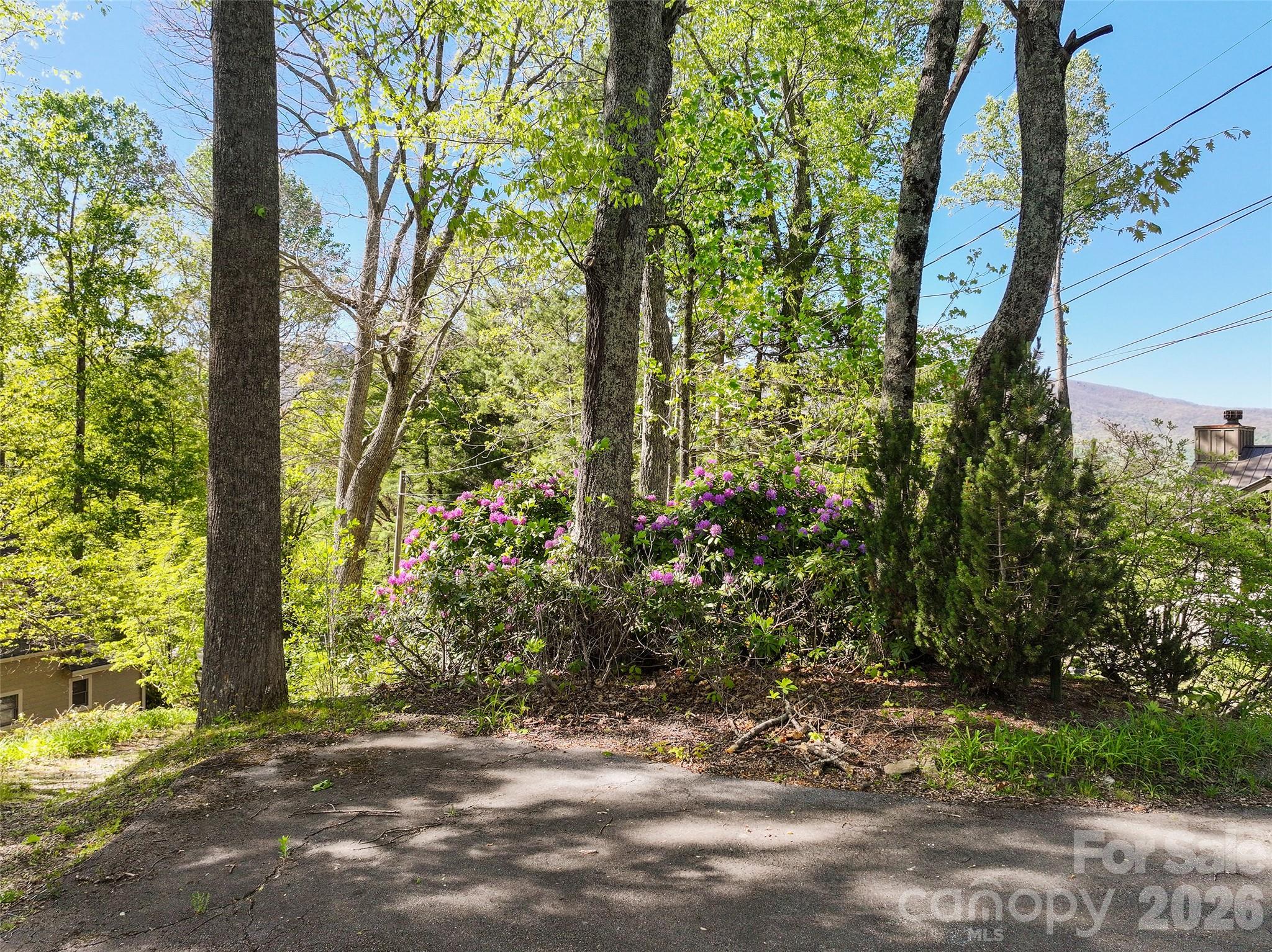 479 Old Dummy Line Road — Balsam