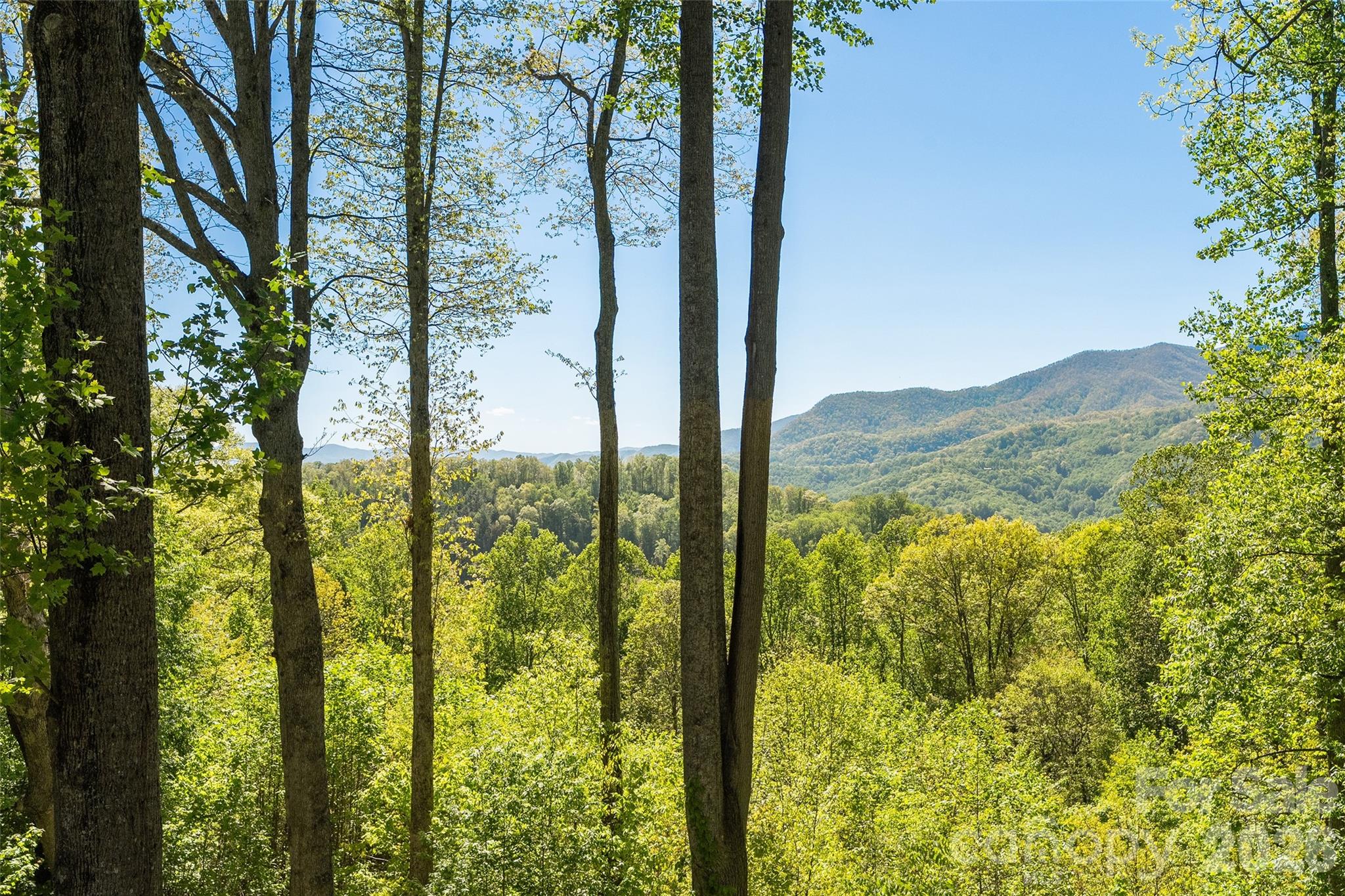 479 Old Dummy Line Road — Balsam
