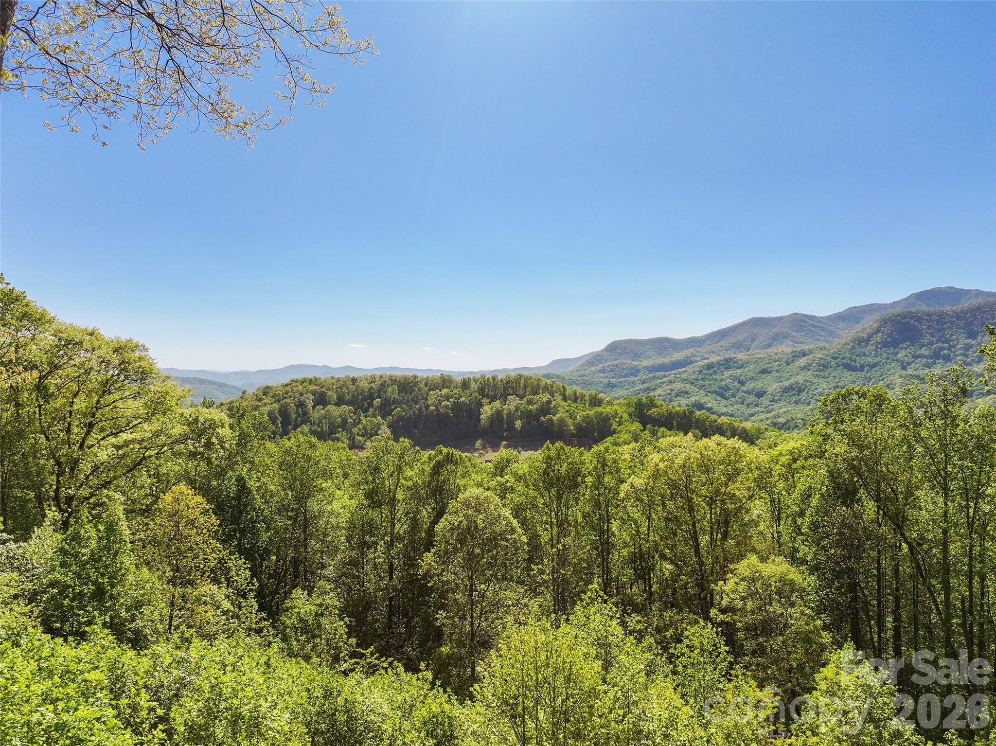 479 Old Dummy Line Road — Balsam