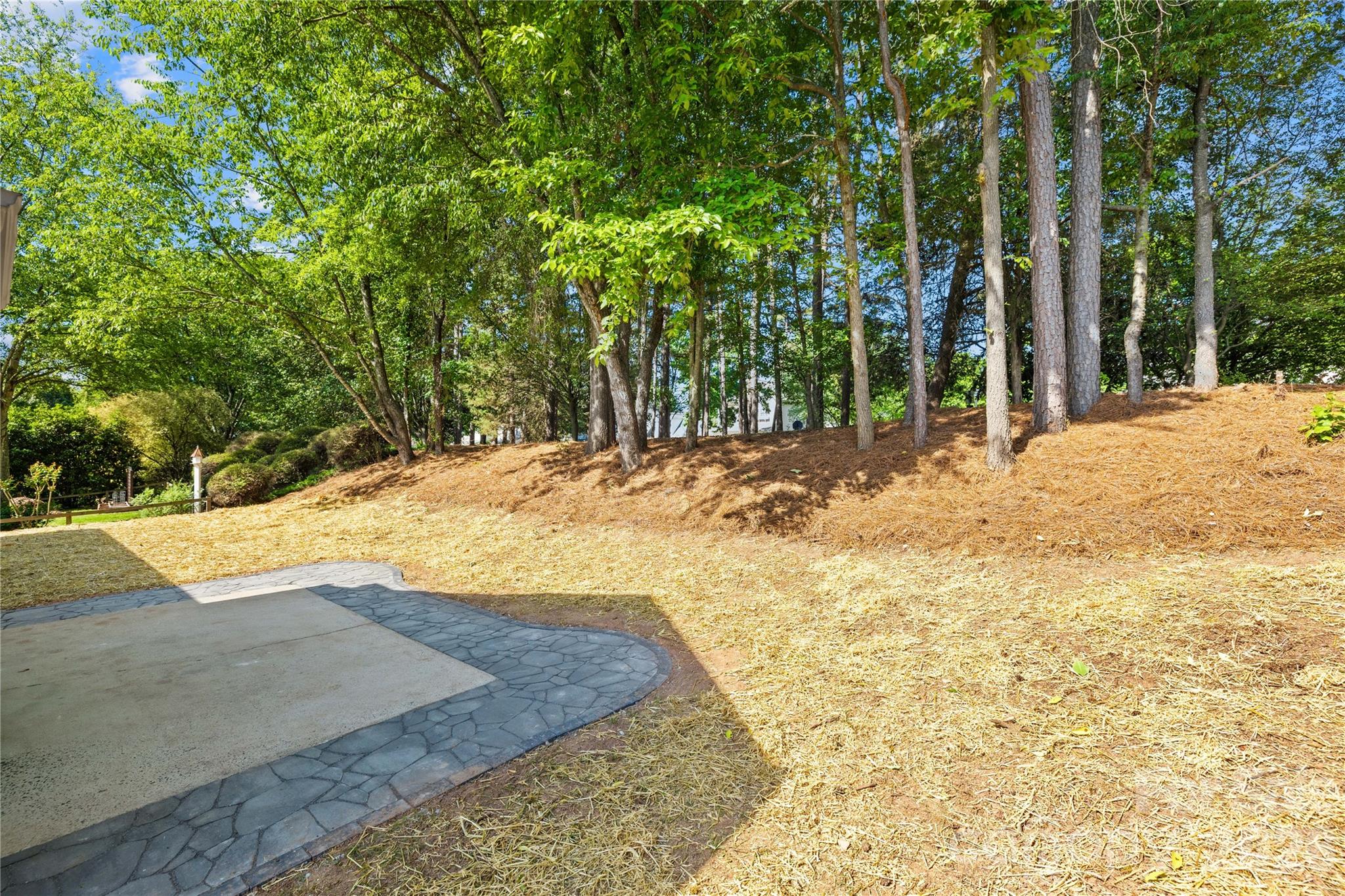 20236 Colony Point Lane — Cornelius