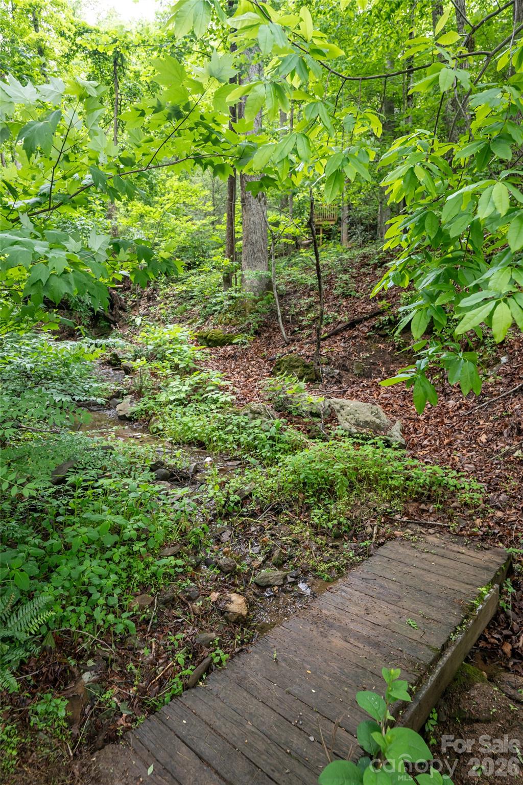 201 Covewood Trail — Asheville