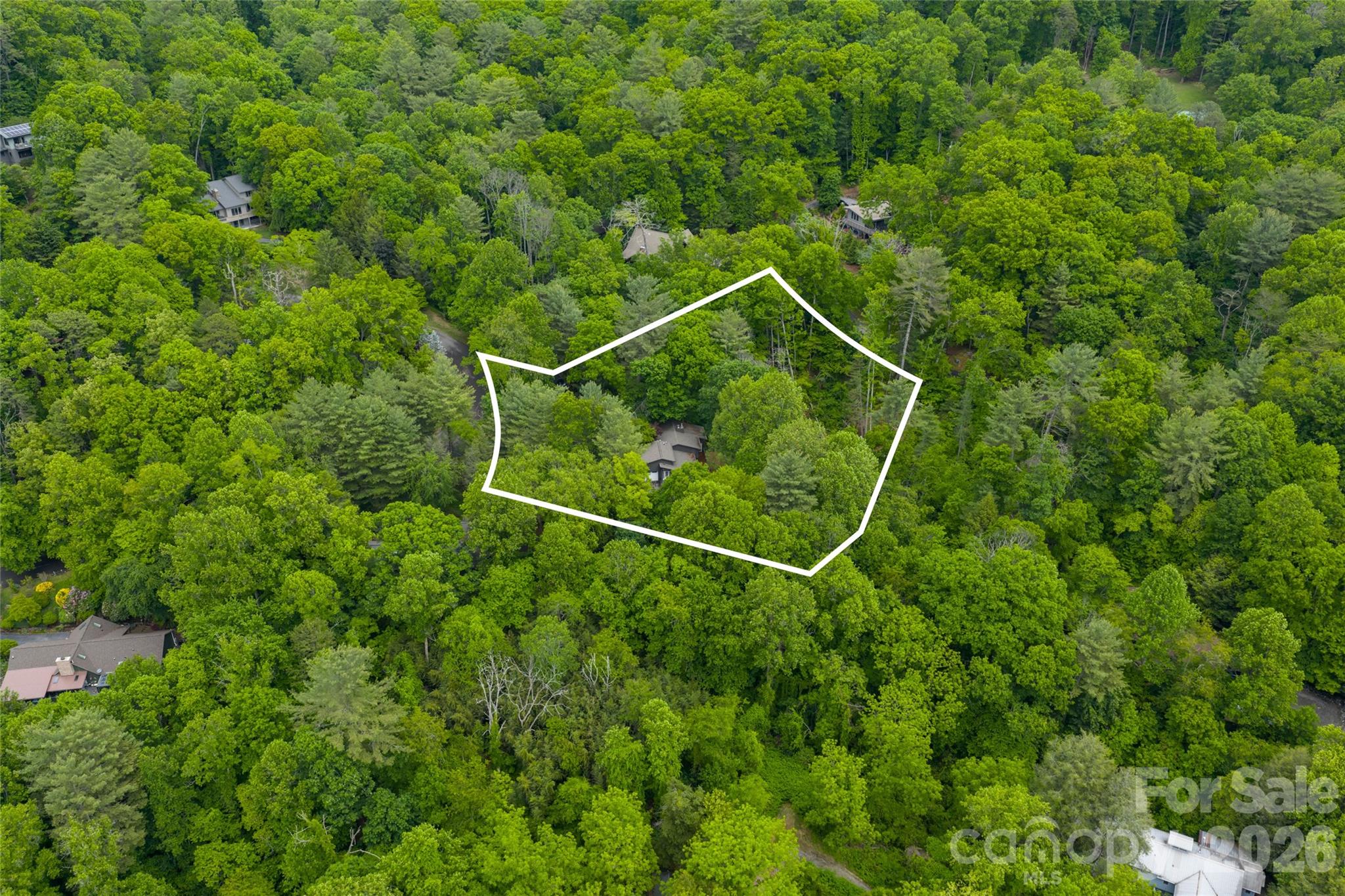 201 Covewood Trail — Asheville