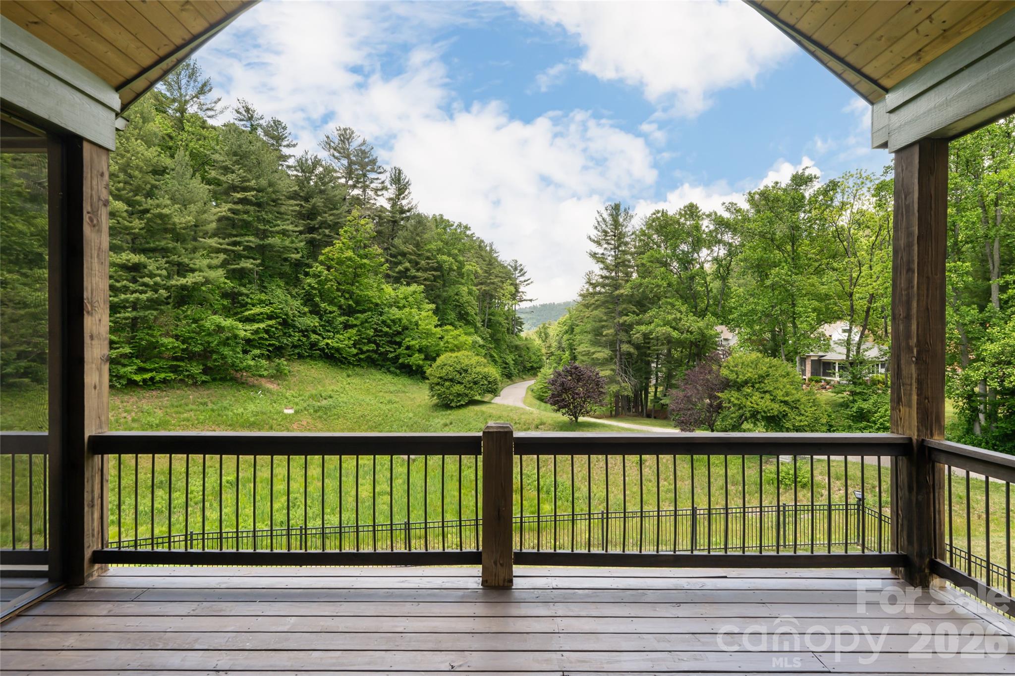 44 Woodland Aster Way — Asheville