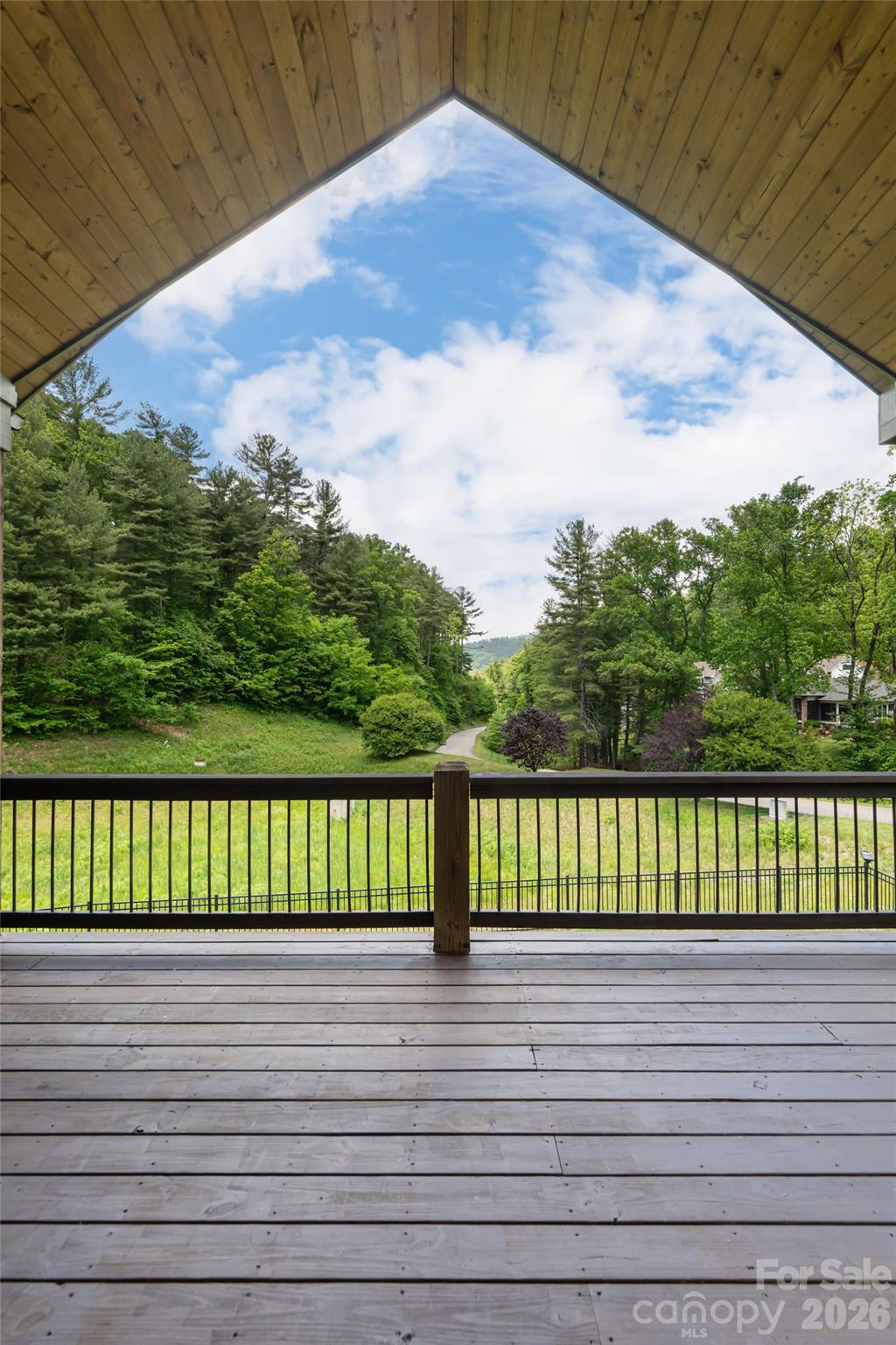 44 Woodland Aster Way — Asheville