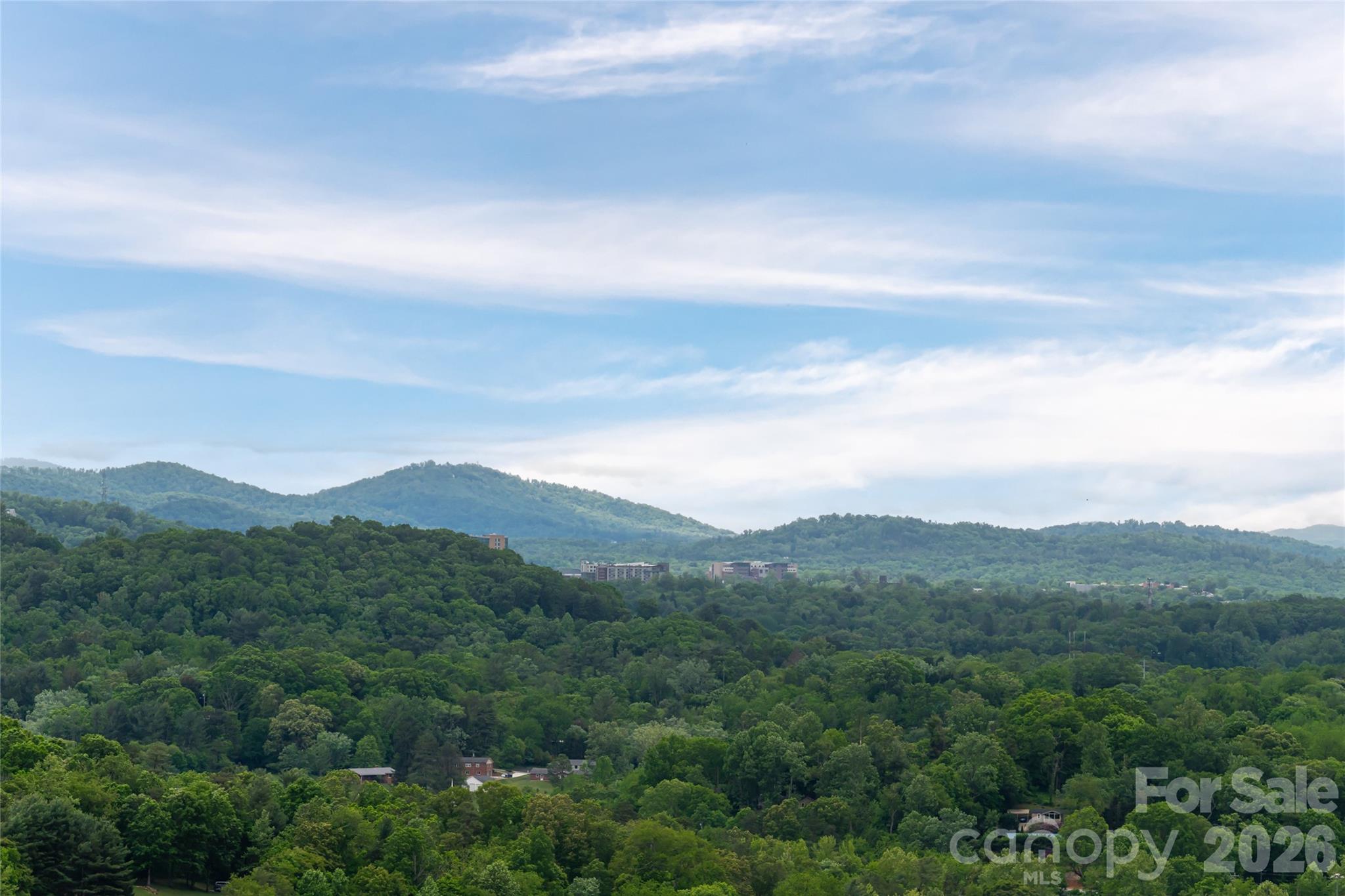 153 Mills Place — Asheville