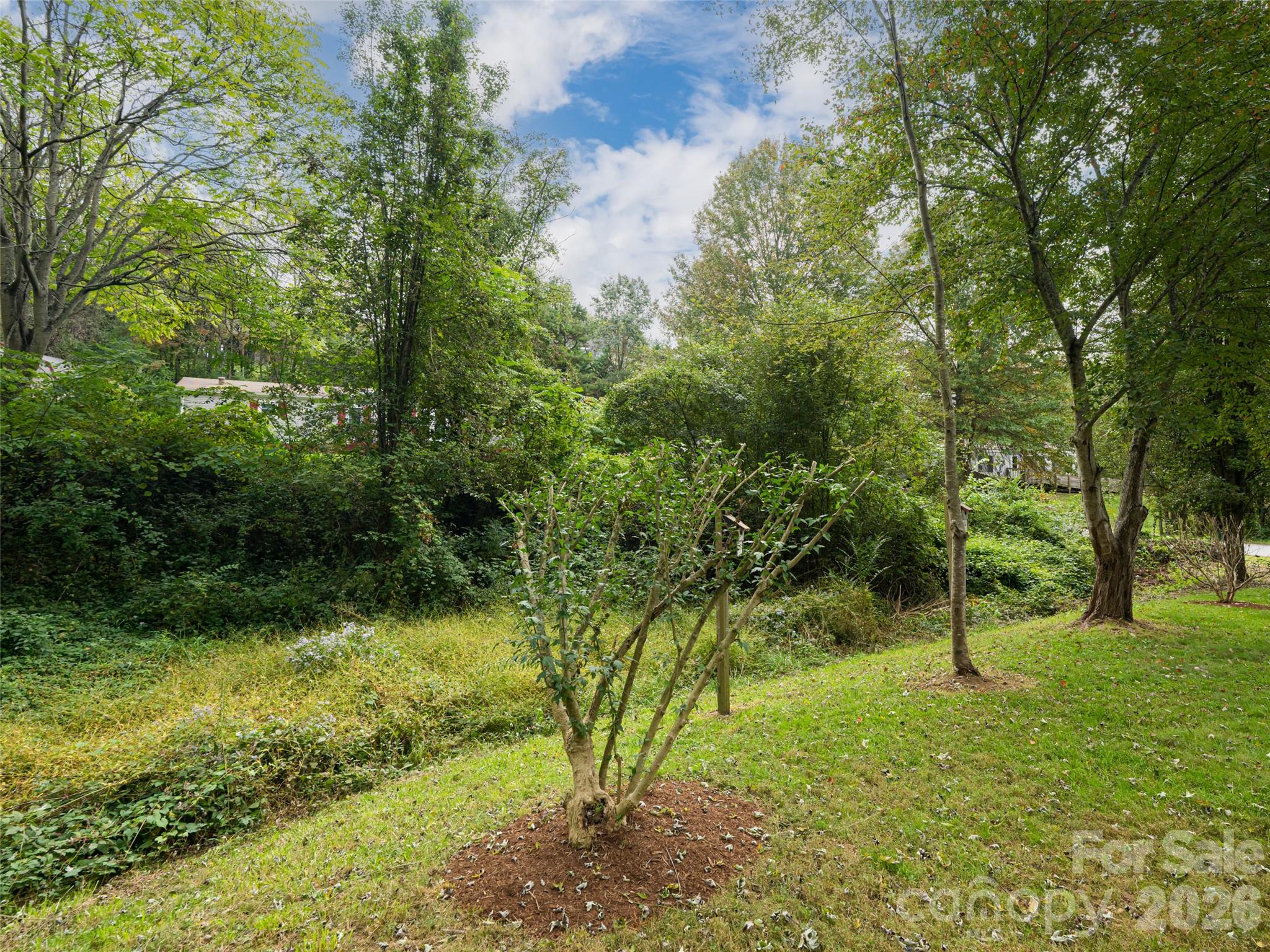 101 Heather Drive — Asheville