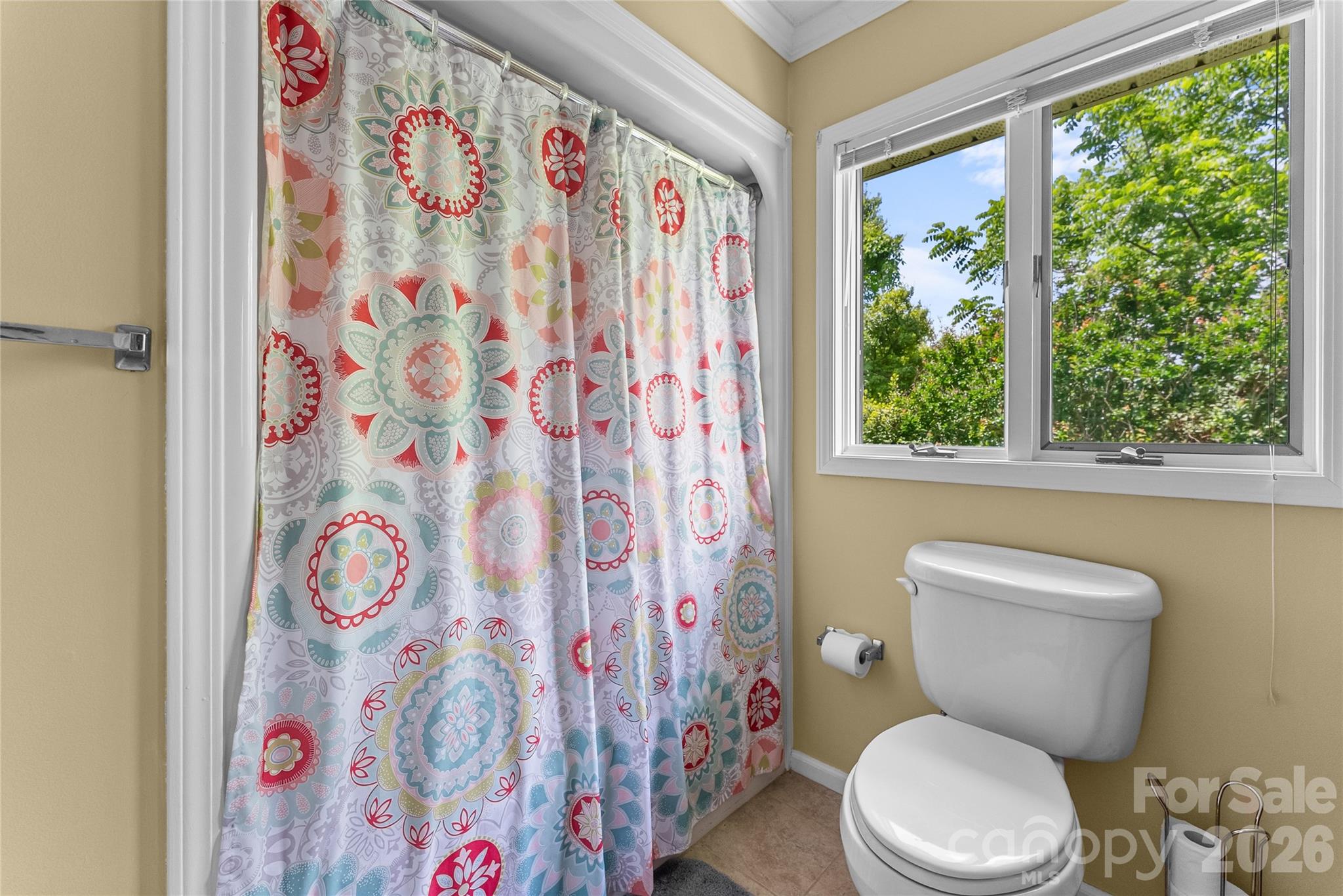 8 Scenic View Road — Weaverville