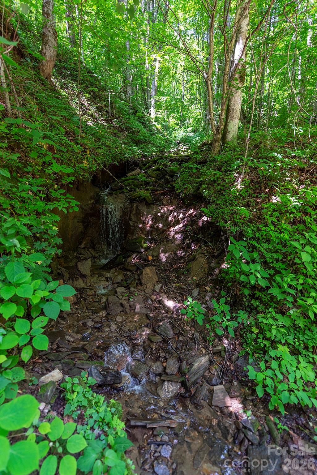 78 Spellbound Road — Waynesville