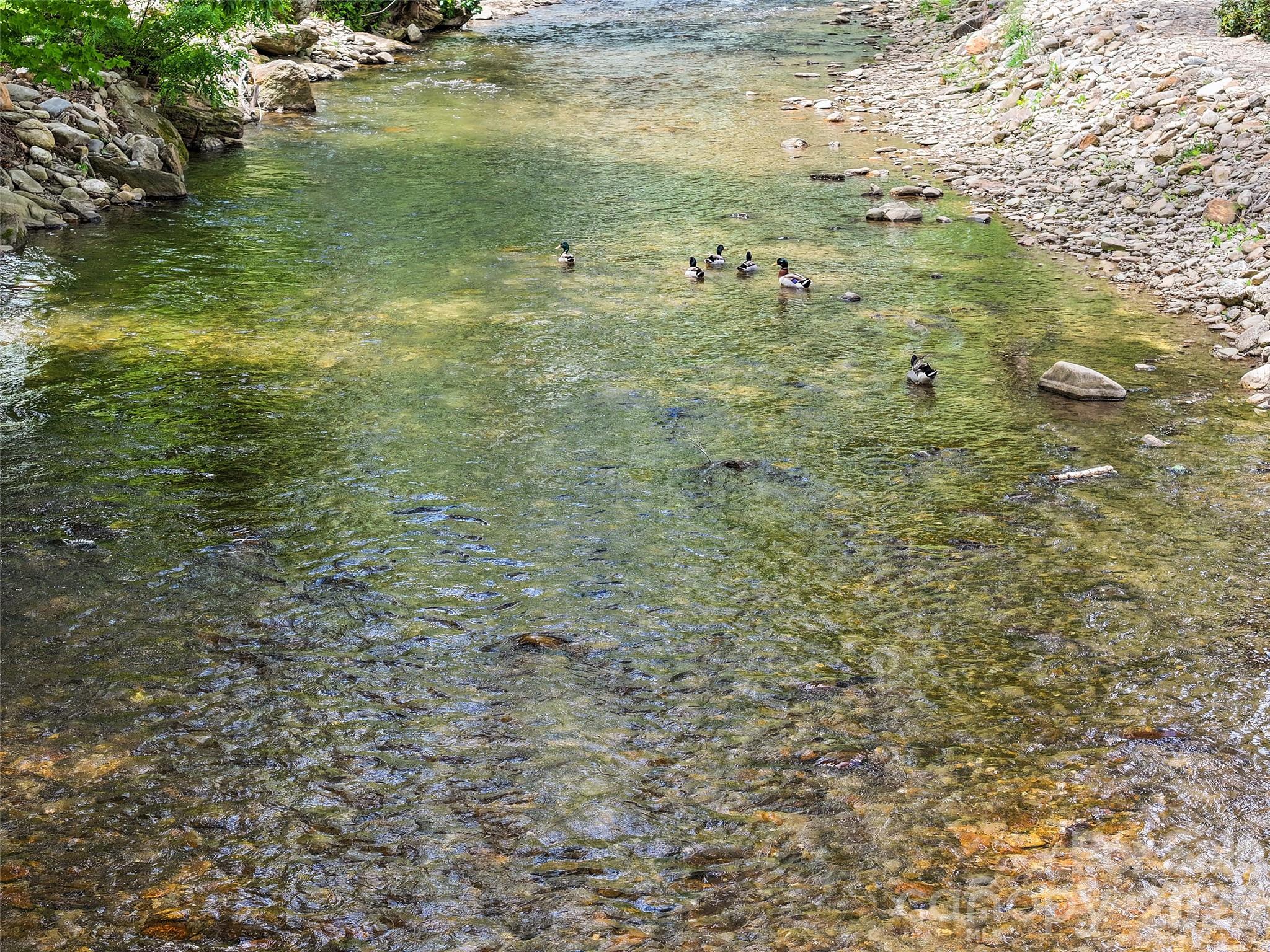 62 Rachels Circle — Maggie Valley