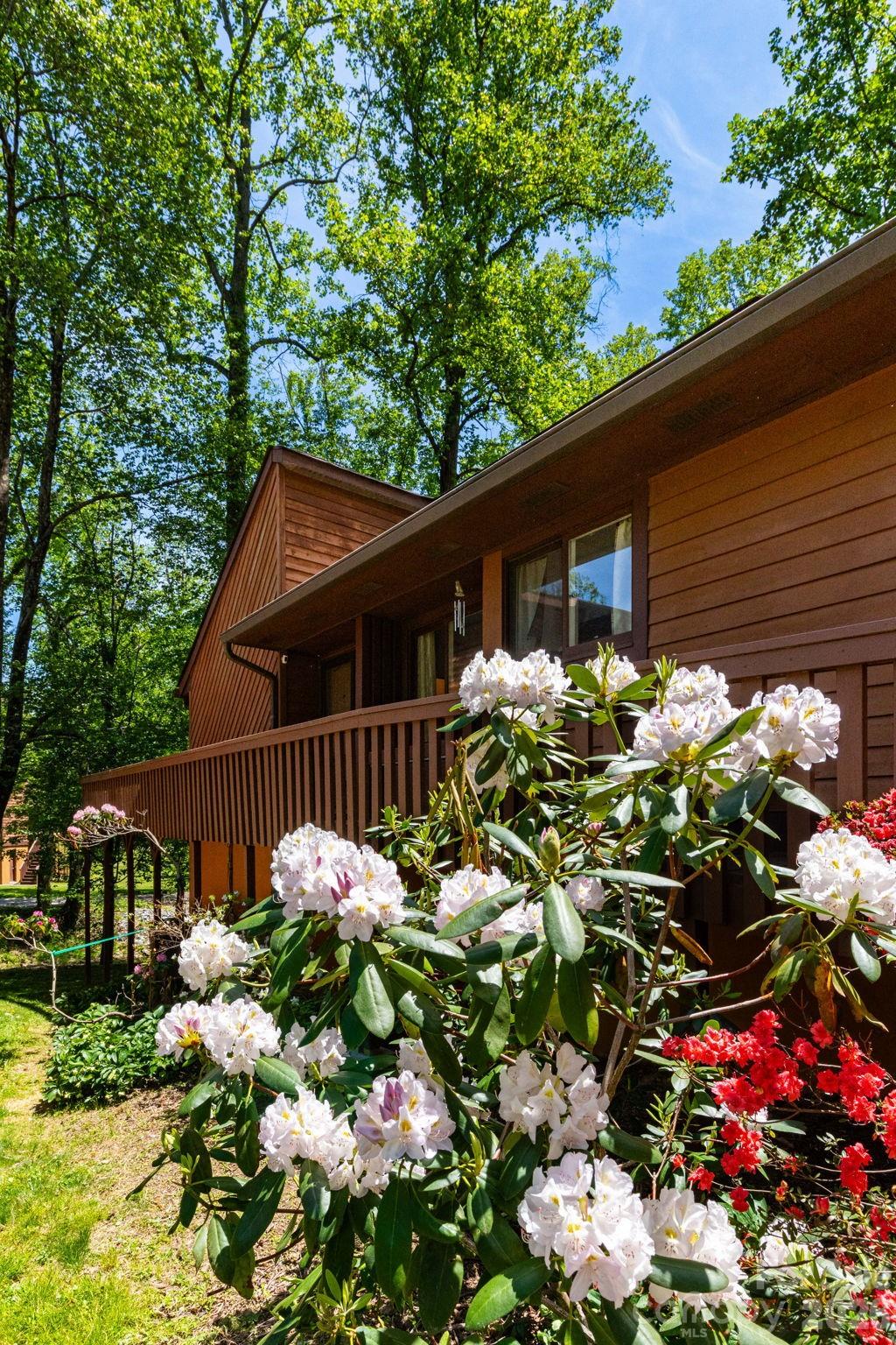 5 Wildwood Circle — Fletcher
