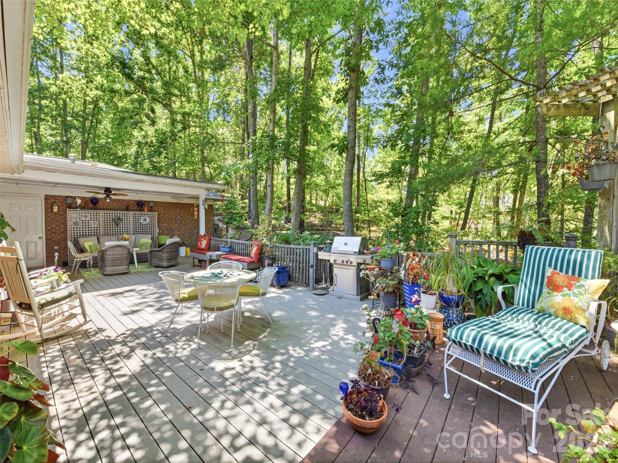 5 Sunny Ridge Drive — Asheville