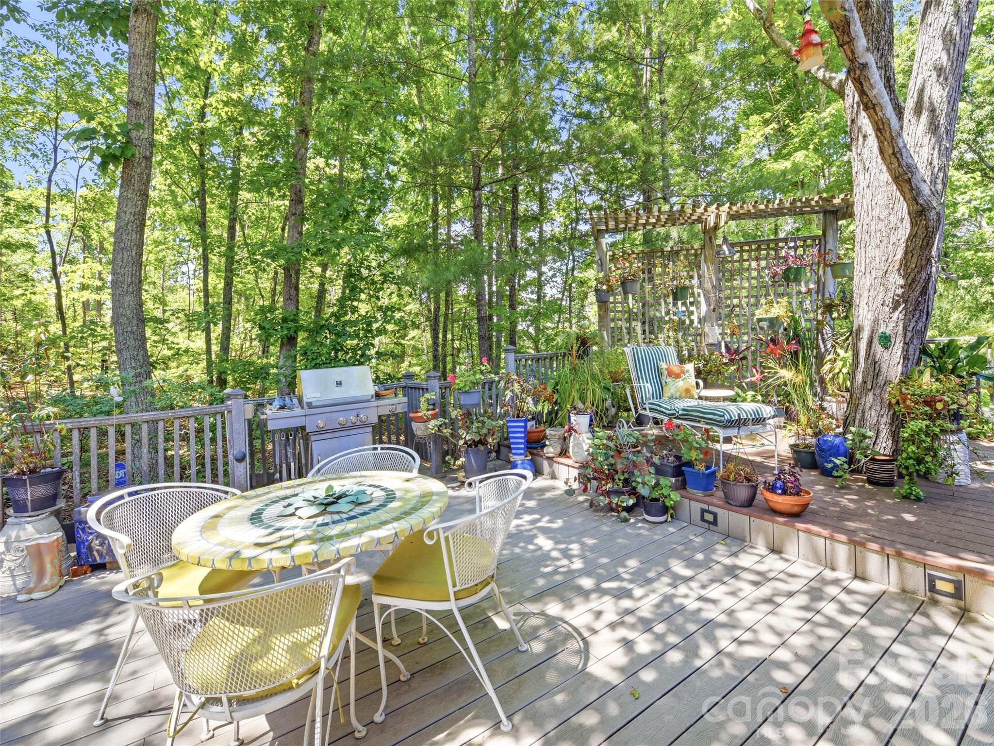 5 Sunny Ridge Drive — Asheville