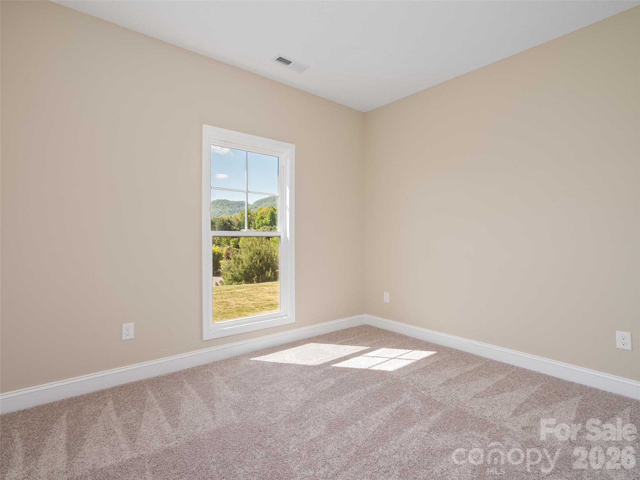 373 Barefoot Ridge — Clyde