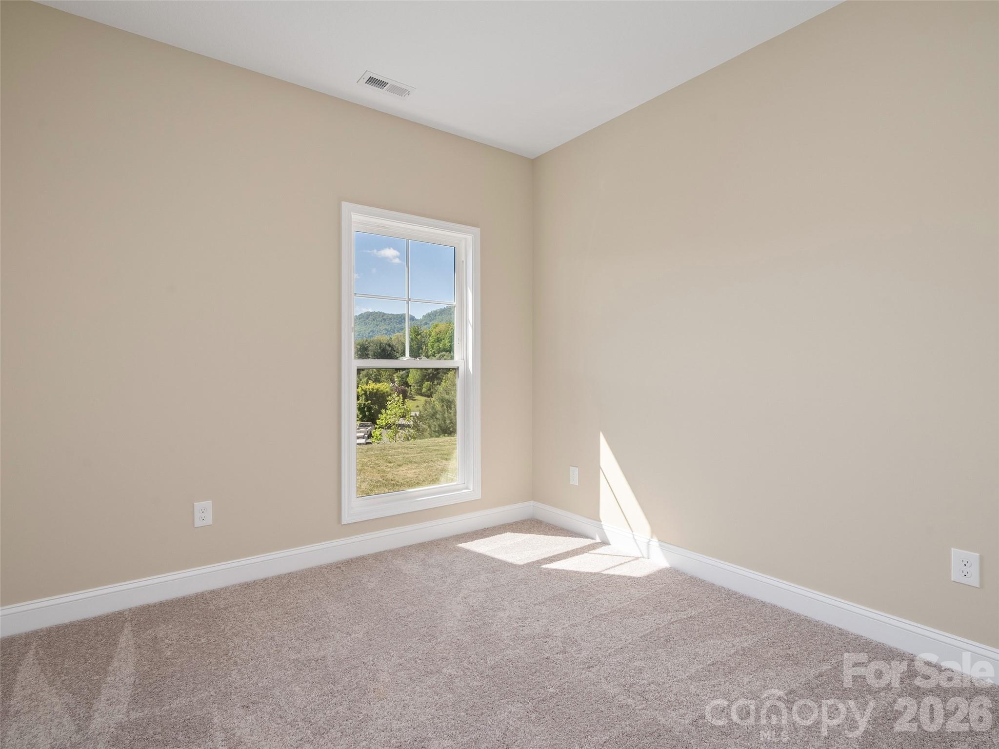 373 Barefoot Ridge — Clyde