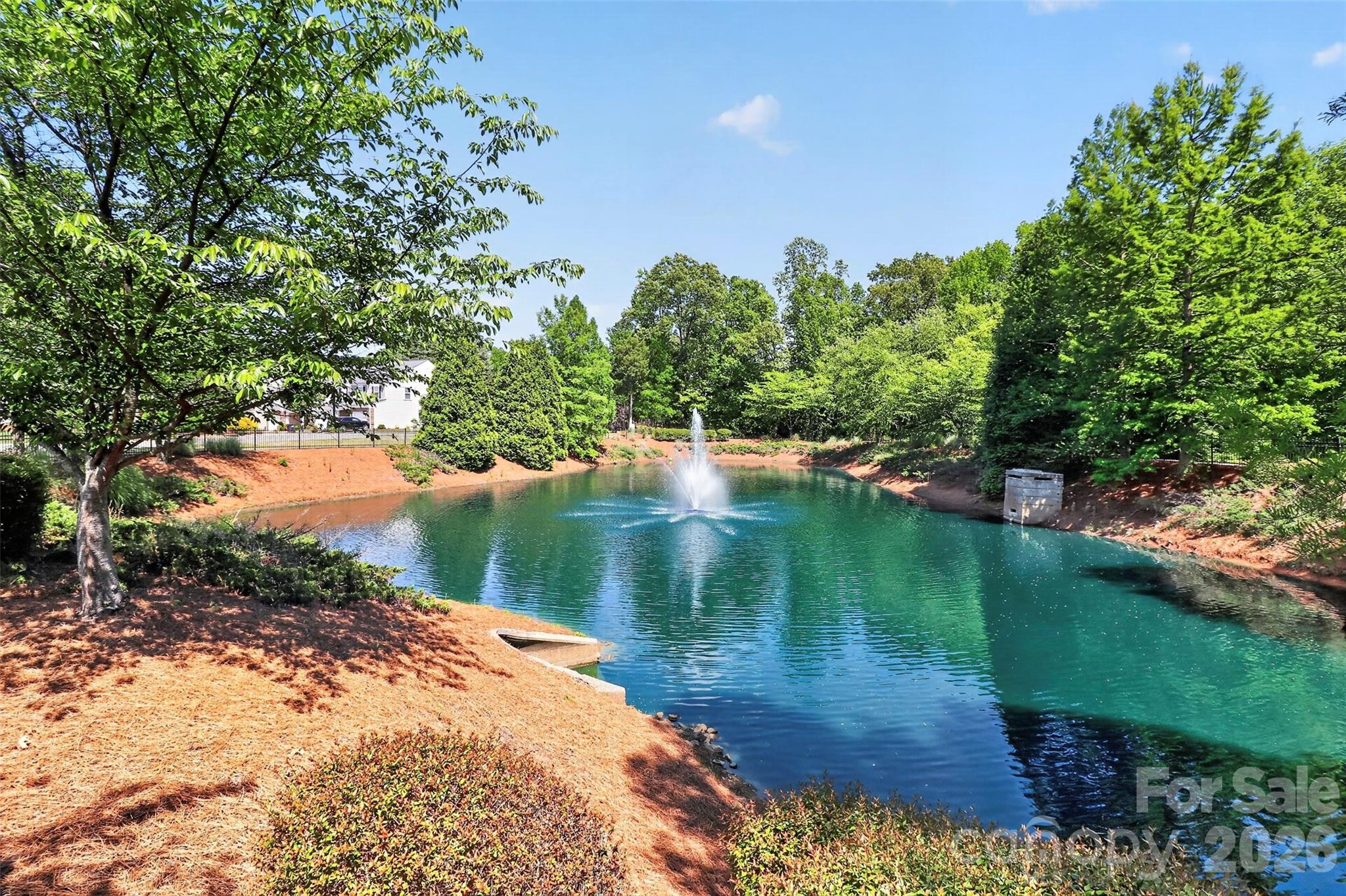529 Hunters Dance Road — Fort Mill