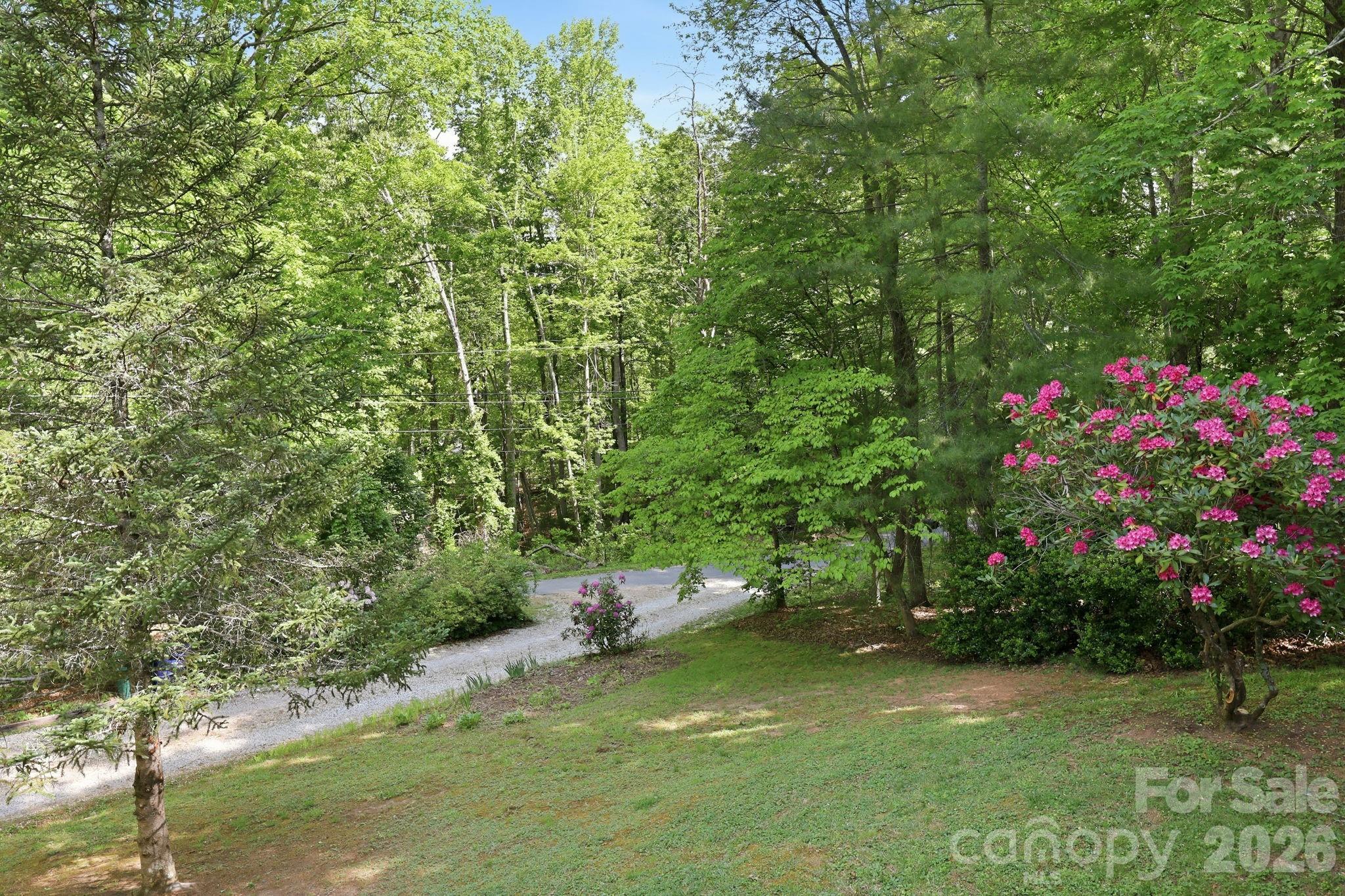 1 Mountain Heritage Place — Candler
