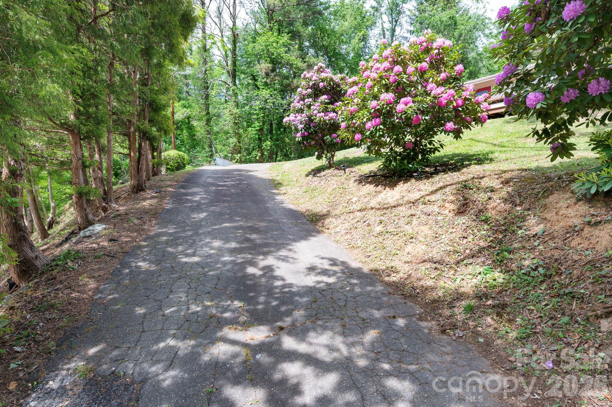 34 Wolfe Cove Road — Asheville