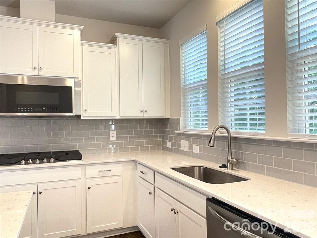 14051 Martin hill Way #11 — Charlotte