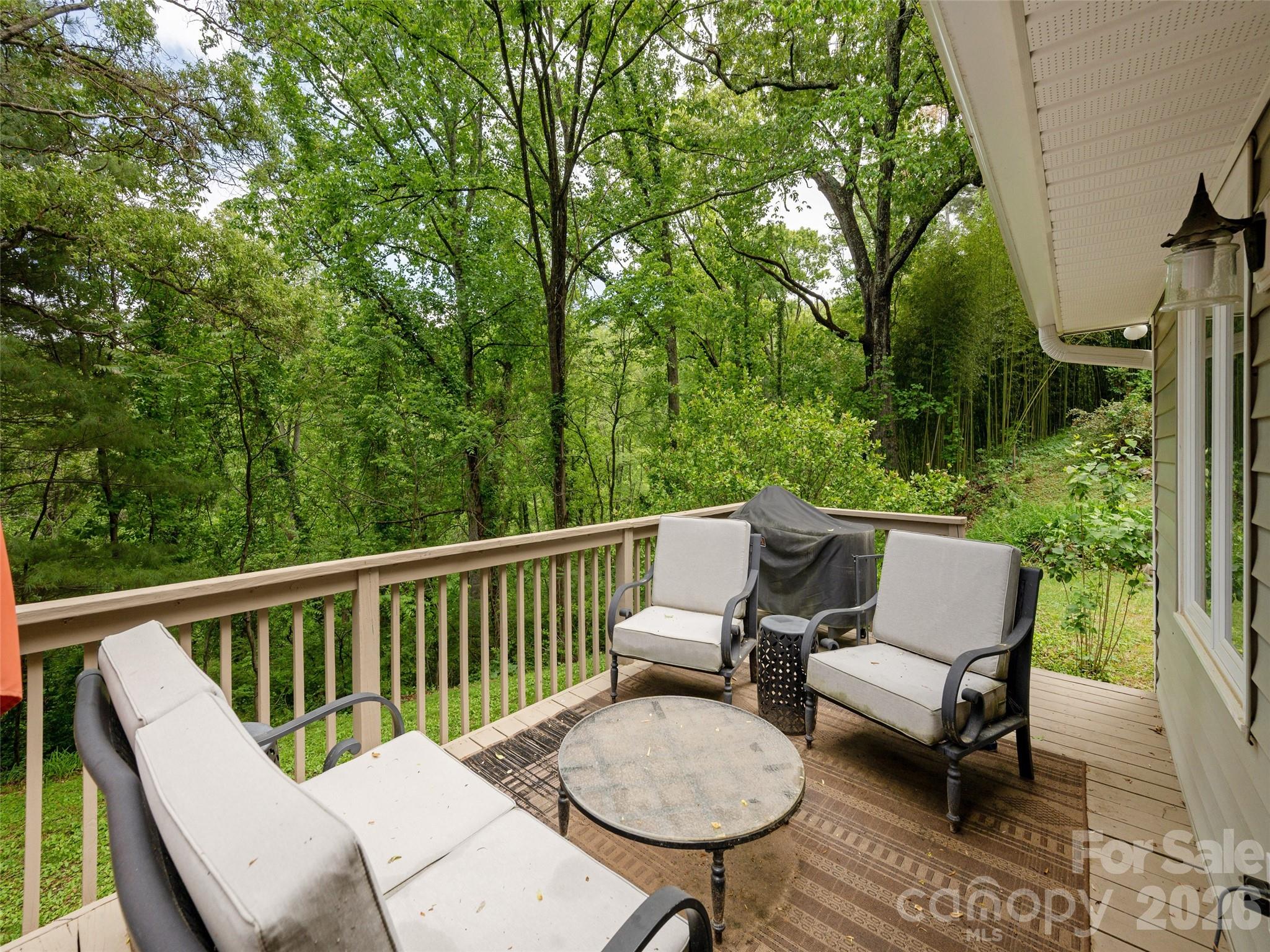 411 Patton Mountain Road — Asheville