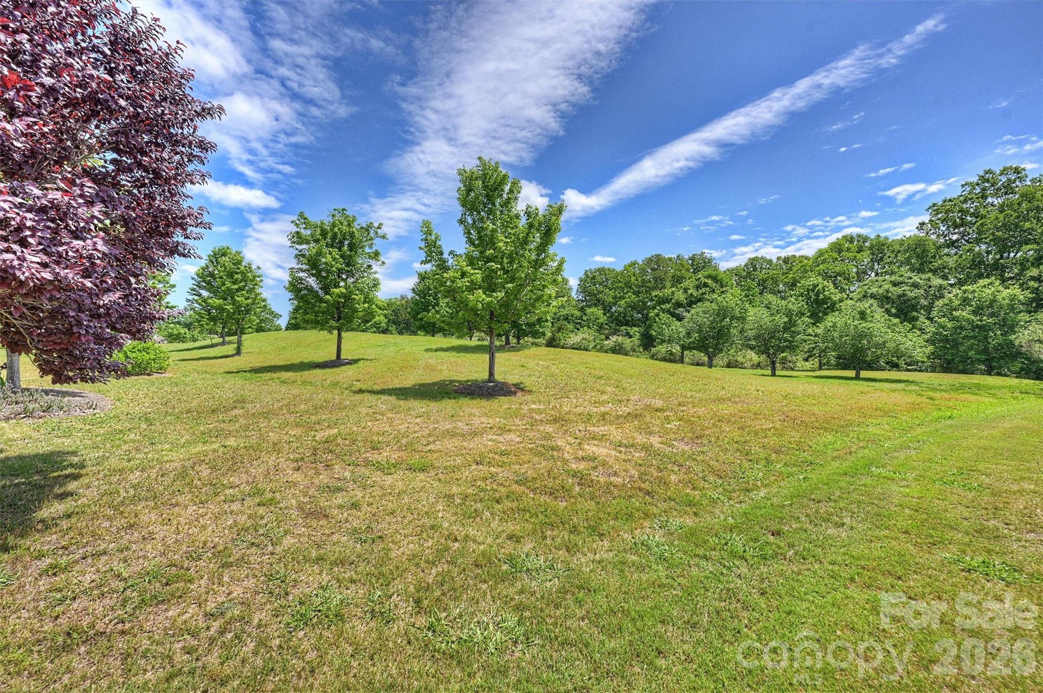 23116 Kingfisher Drive — Fort Mill