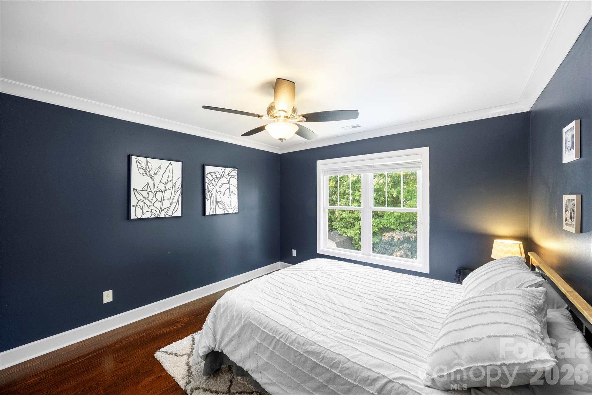 1823 Allen Street — Charlotte