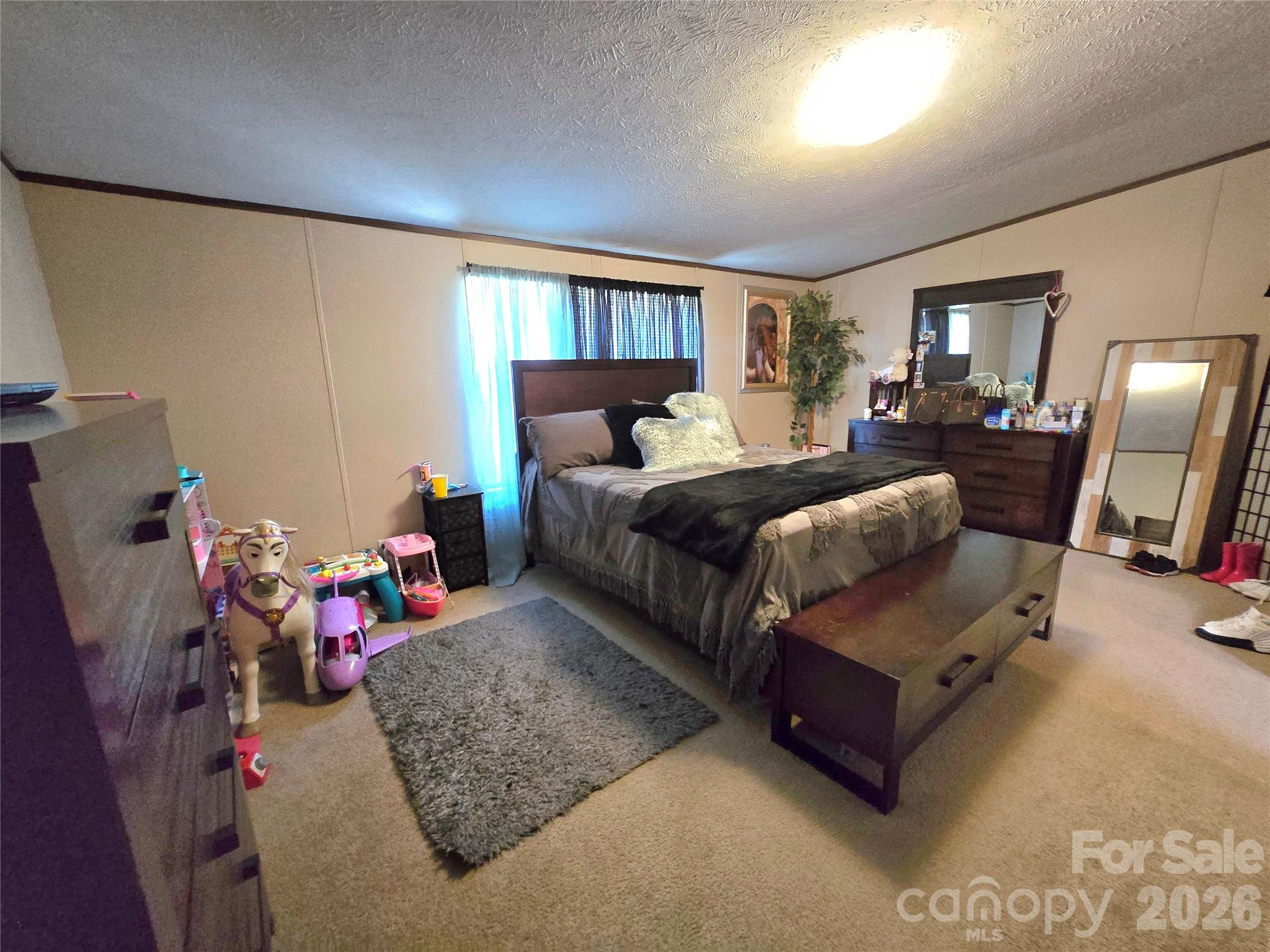 221 Turkey Pen Gap Road — Horse Shoe