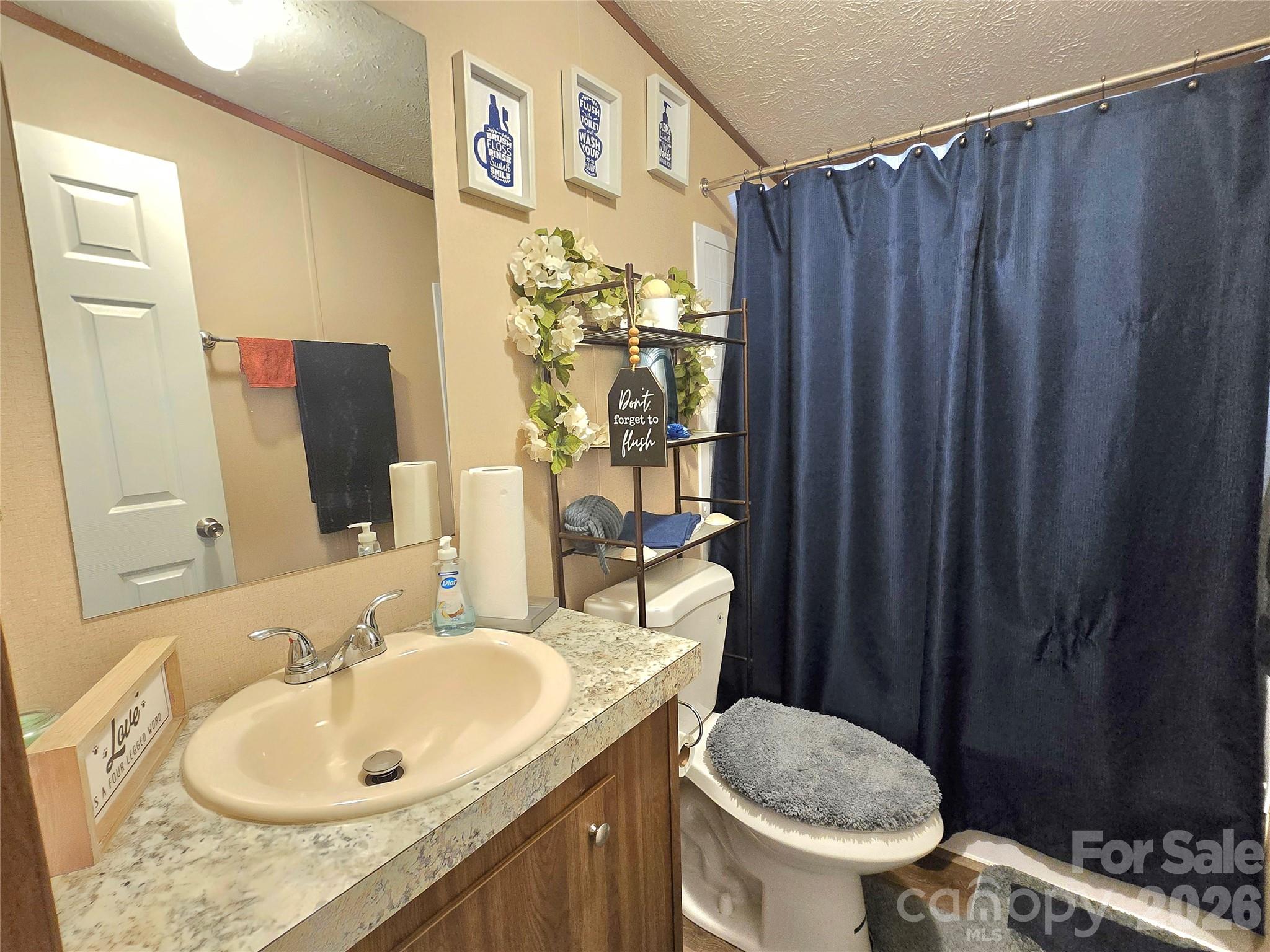 221 Turkey Pen Gap Road — Horse Shoe