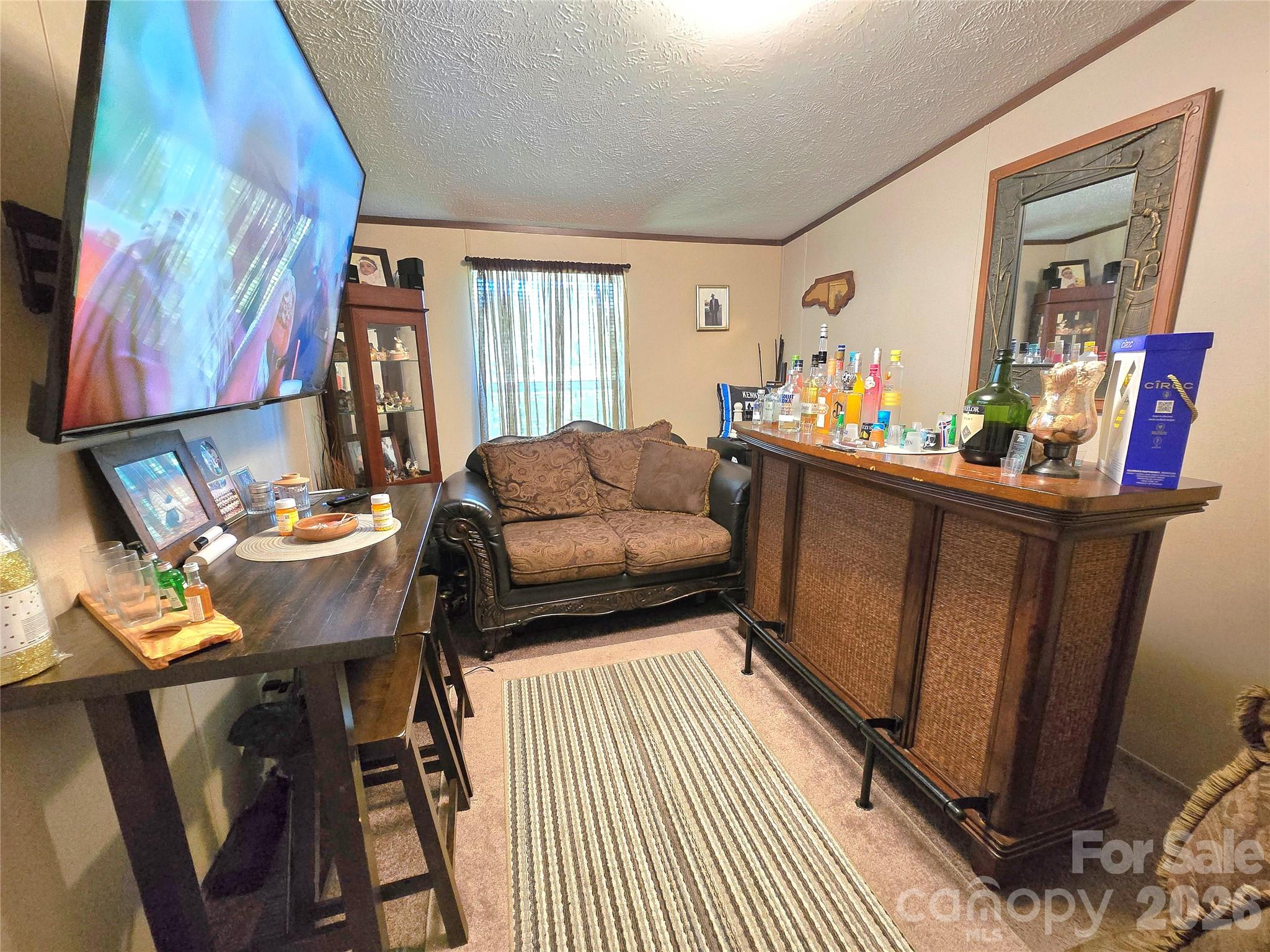 221 Turkey Pen Gap Road — Horse Shoe