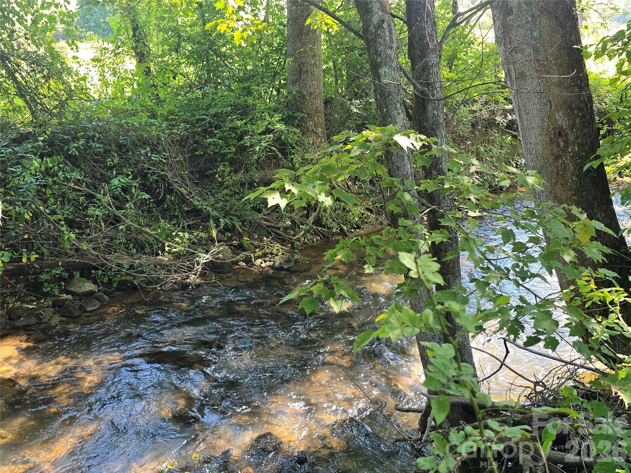 221 Turkey Pen Gap Road — Horse Shoe