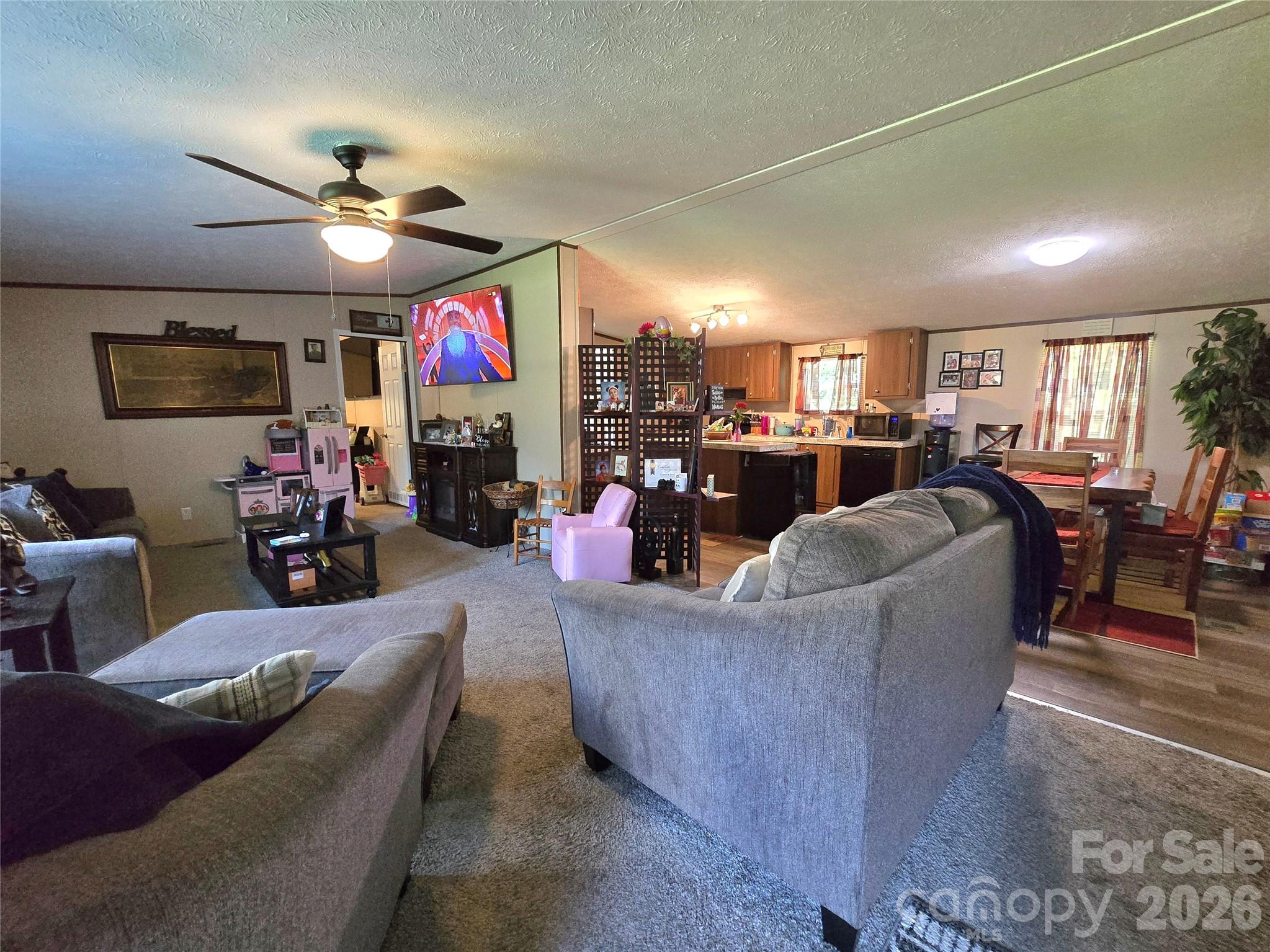 221 Turkey Pen Gap Road — Horse Shoe