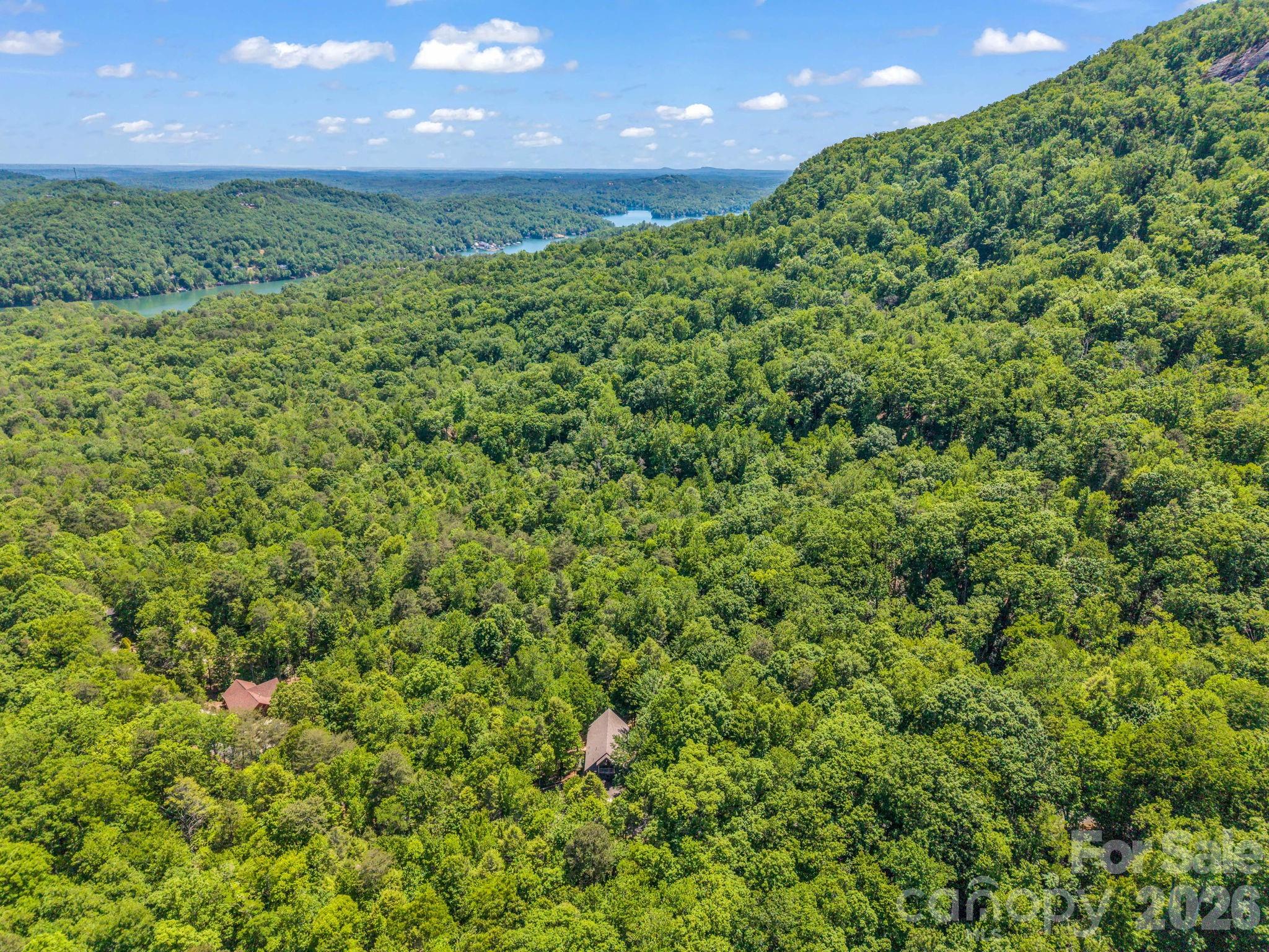 331 Quail Ridge Road — Lake Lure