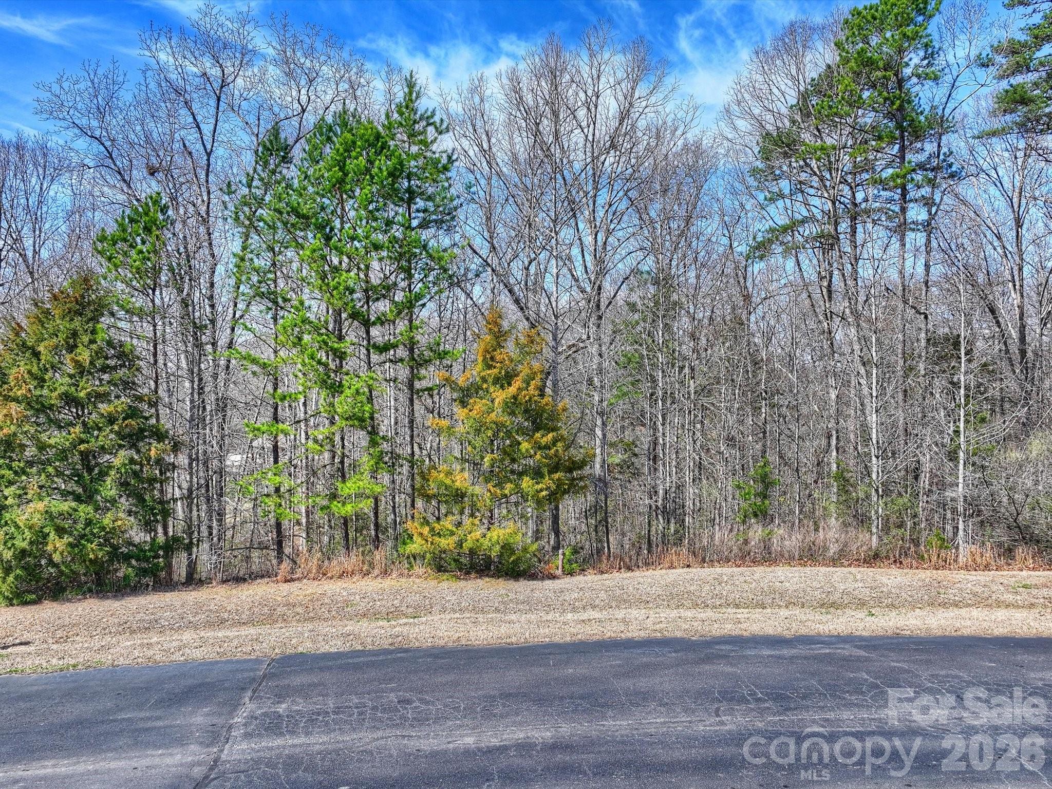 7316 Barrington Ridge Drive — Fort Mill