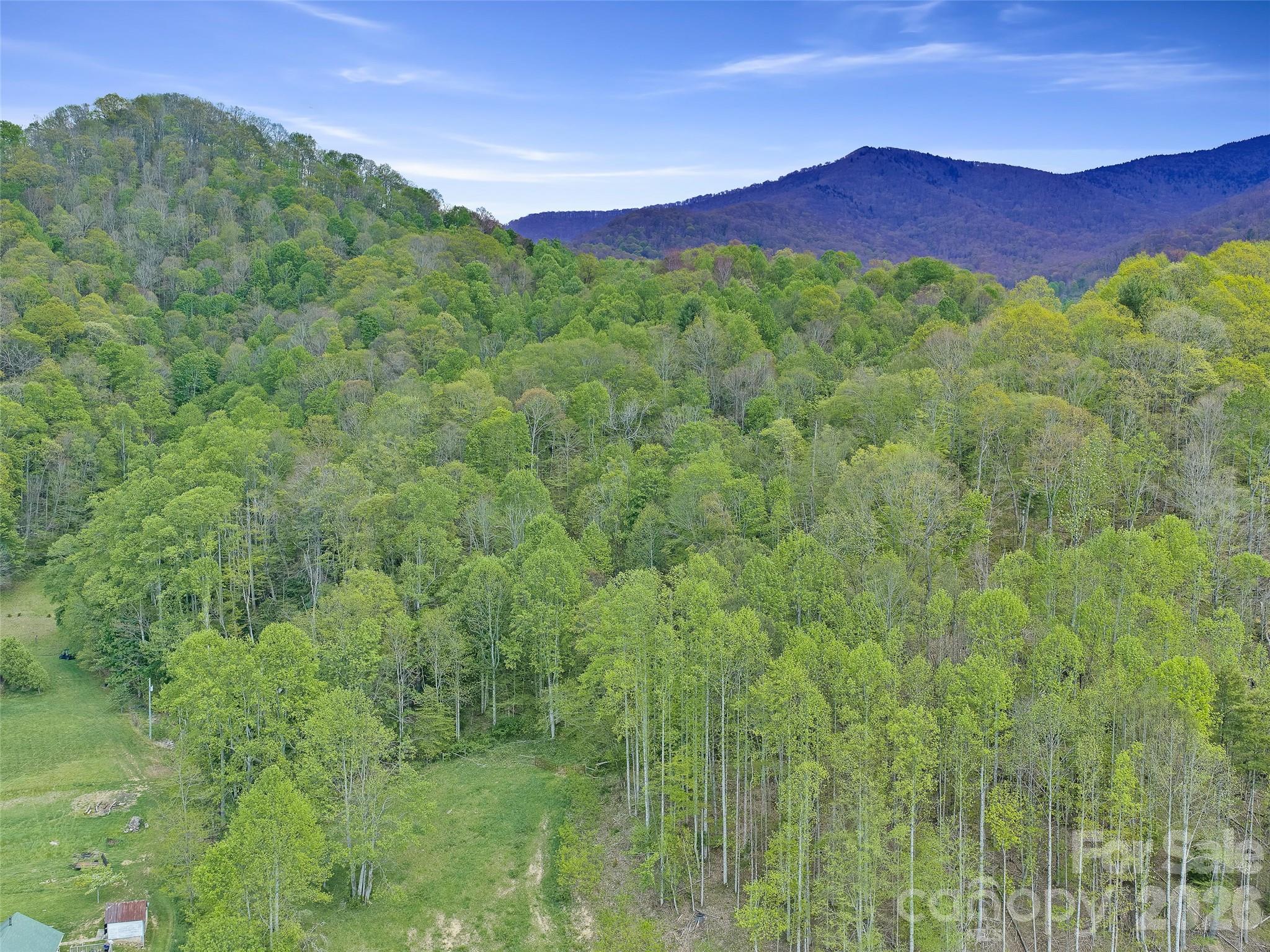 0 Odoms Chapel Road — Bakersville