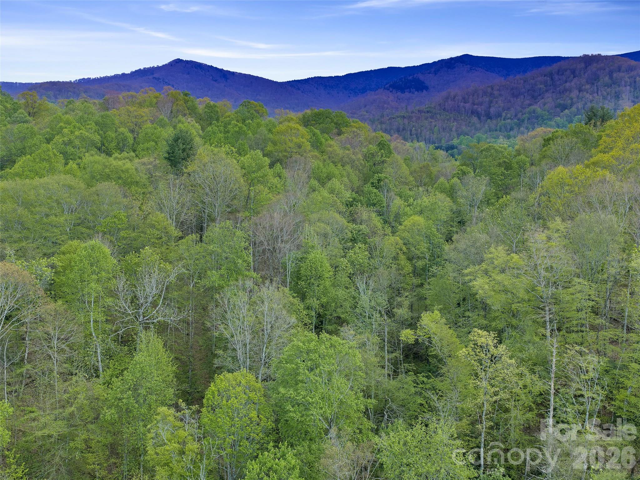0 Odoms Chapel Road — Bakersville