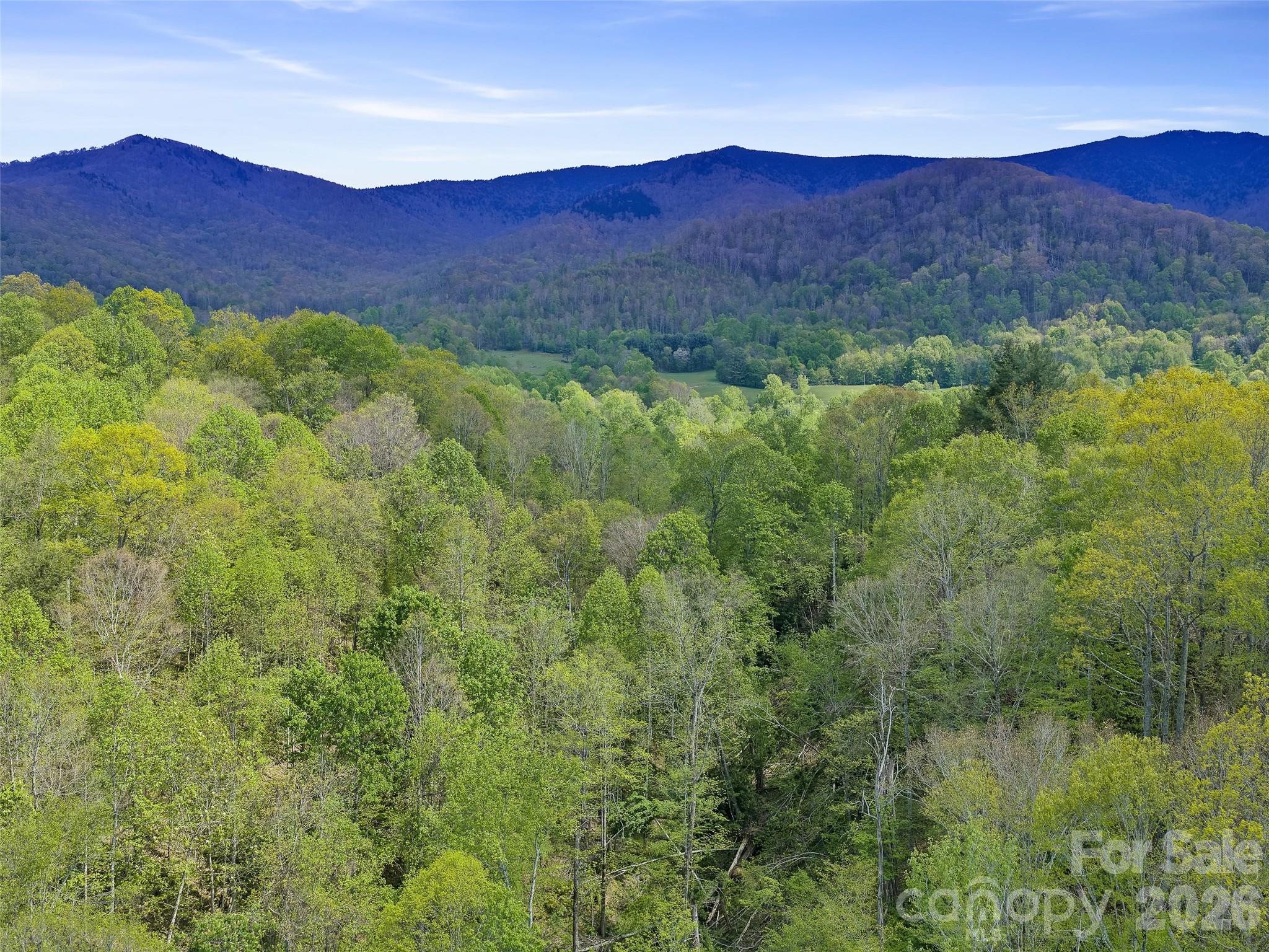 0 Odoms Chapel Road — Bakersville
