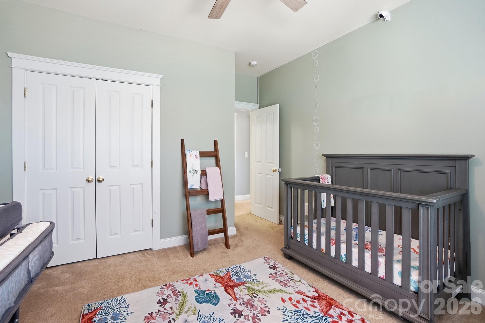 13747 Carleen Way Drive — Charlotte