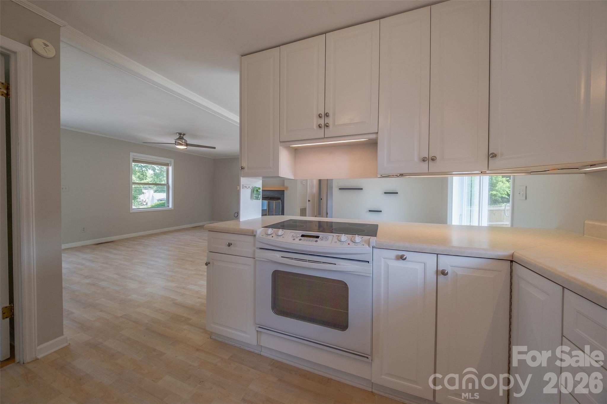21205 Rio Oro Drive — Cornelius