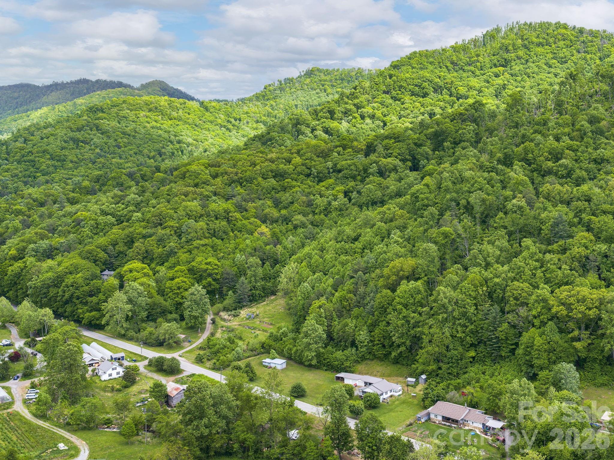 379 N Fork Road — Barnardsville
