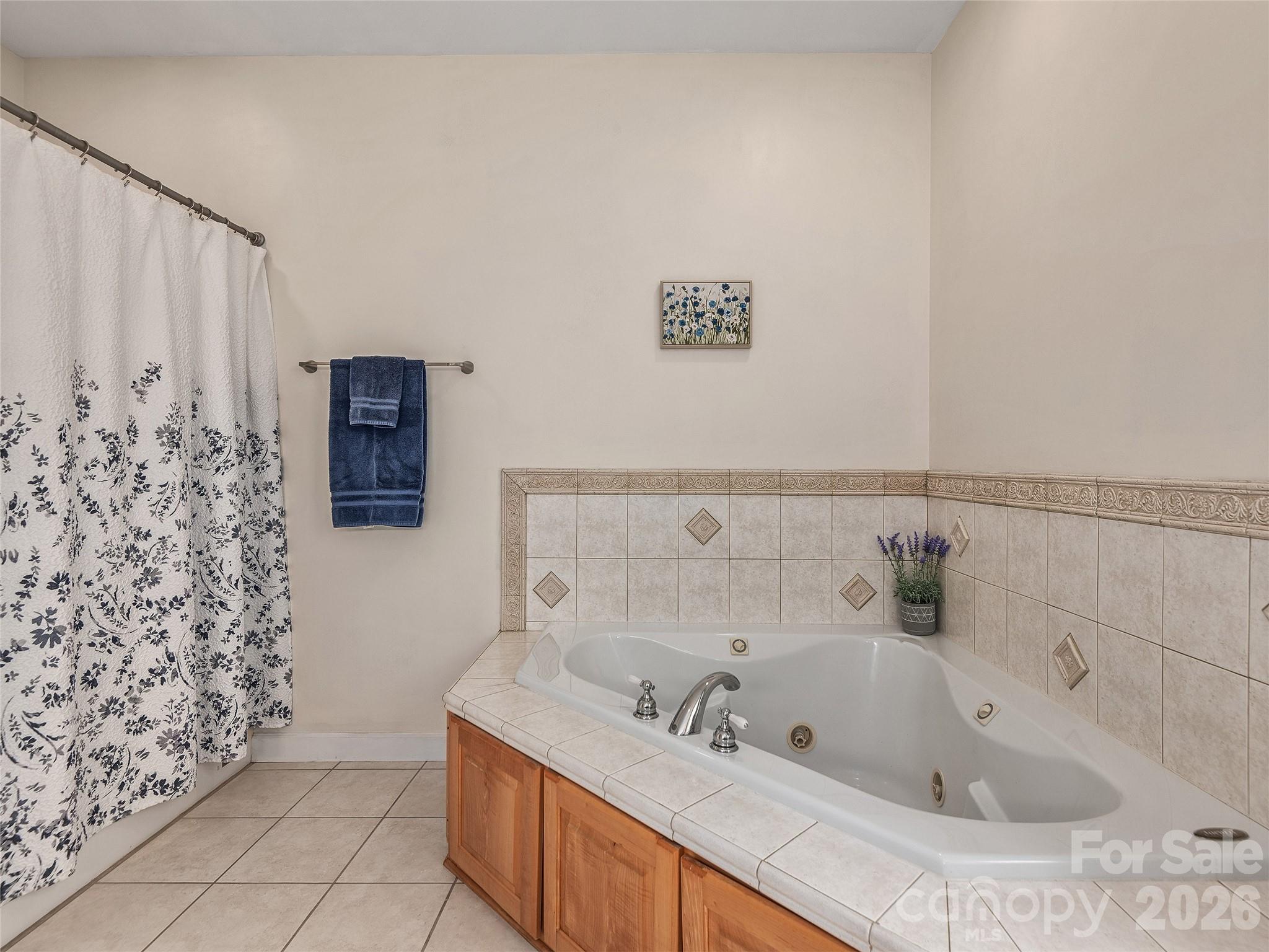 232 Wild Haven Way — Mill Spring