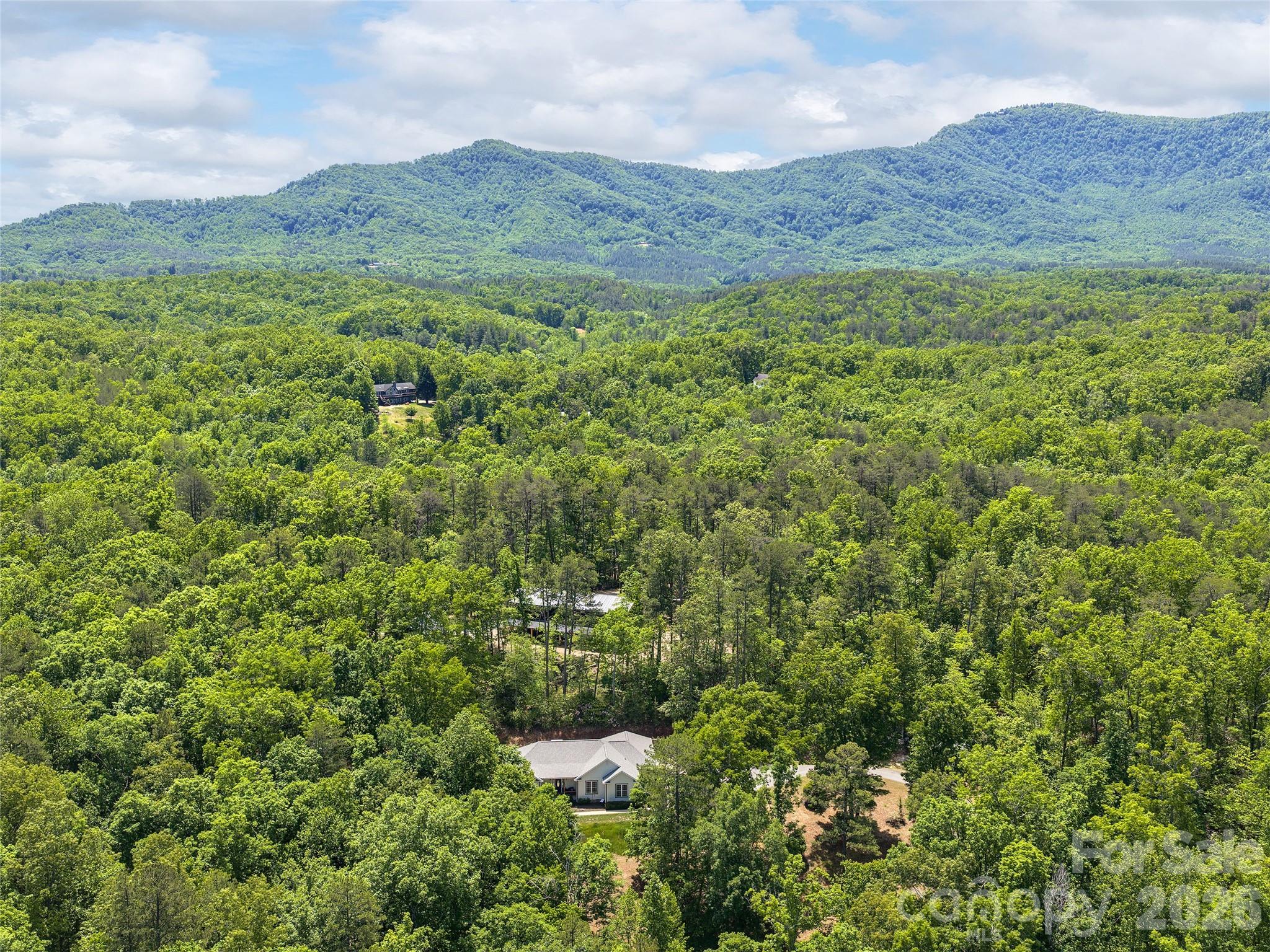 232 Wild Haven Way — Mill Spring