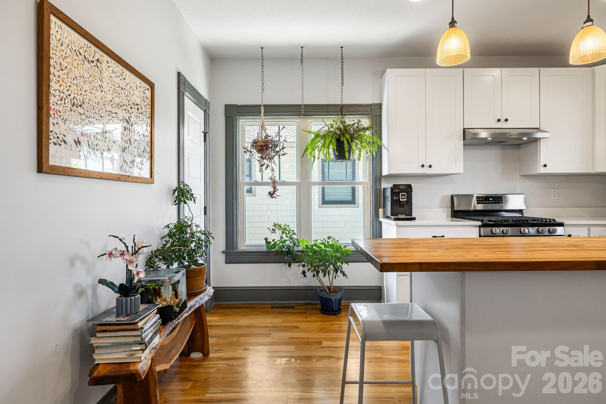 17 Ora Street — Asheville