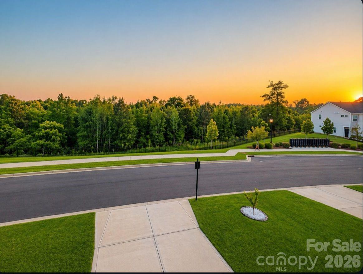 356 Hyssop Court — Fort Mill