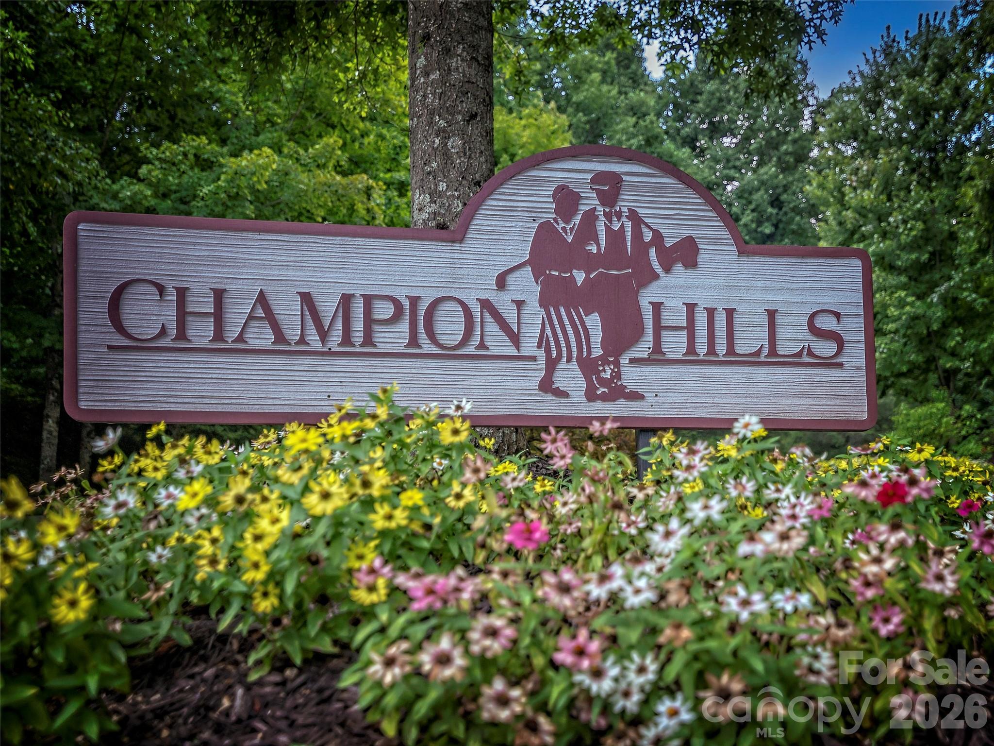 100 Falls Summit Road — Hendersonville