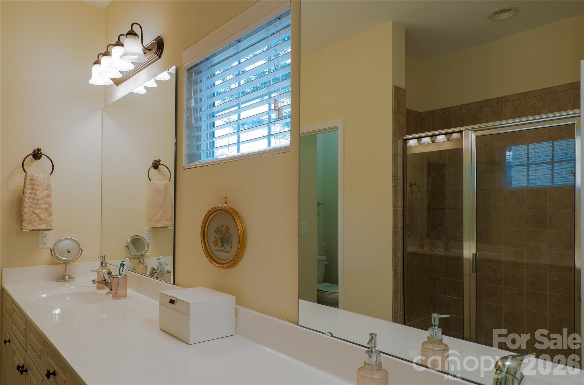 4006 Hickory View Drive — Fort Mill