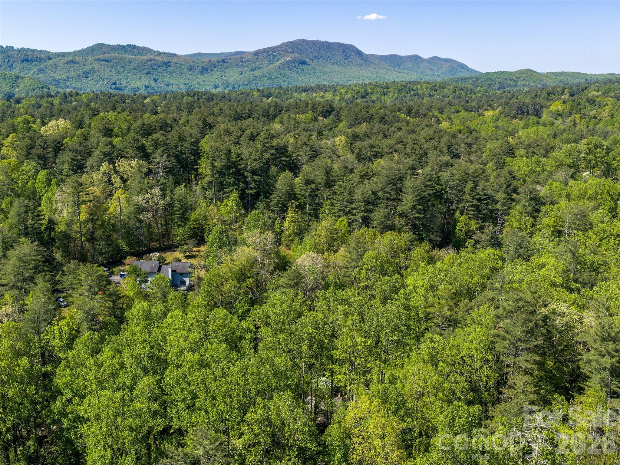 30 Kanuga Heights Lane — Hendersonville