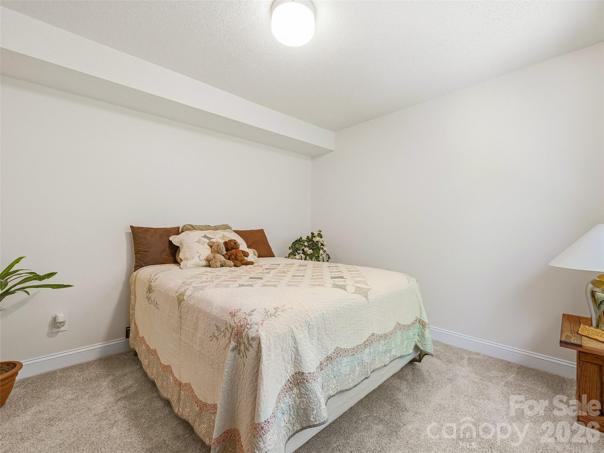 119 Carriage Walk Lane — Hendersonville