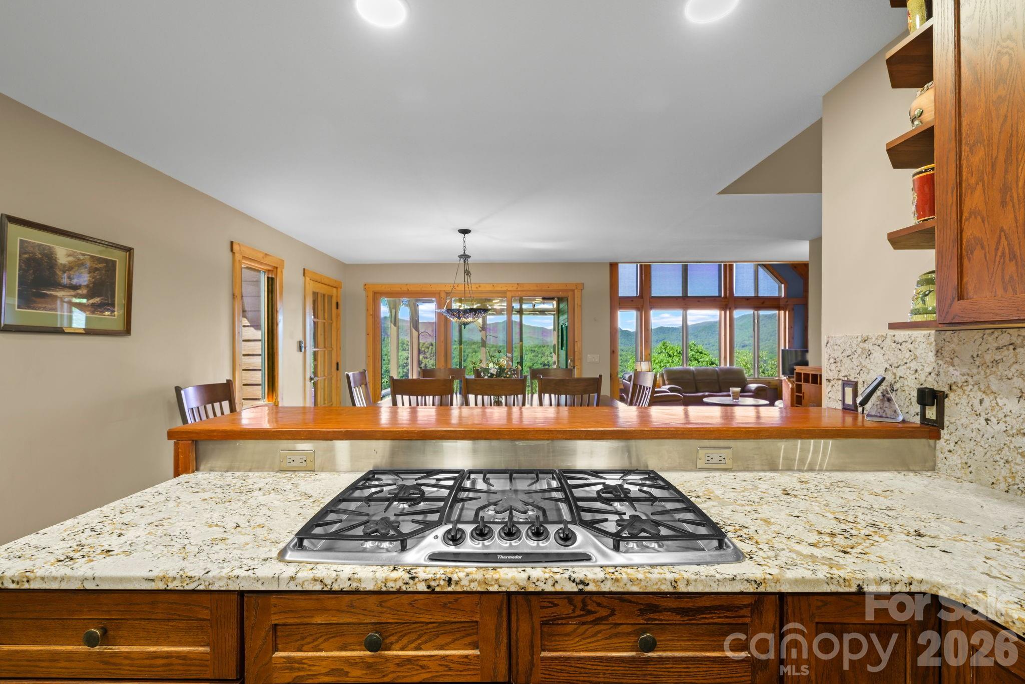 167 Wild Orchid Trail — Bryson City